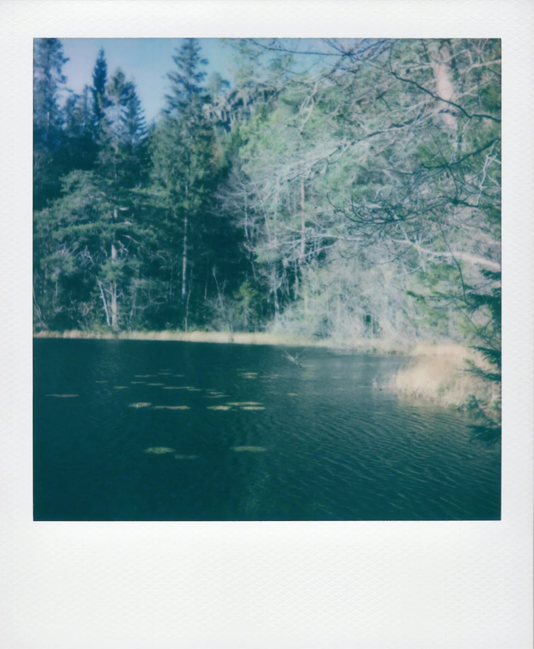 Hiking in Kolsåstoppen