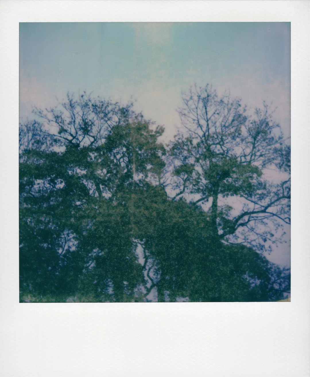 Autumn at St. Hanshaugparken