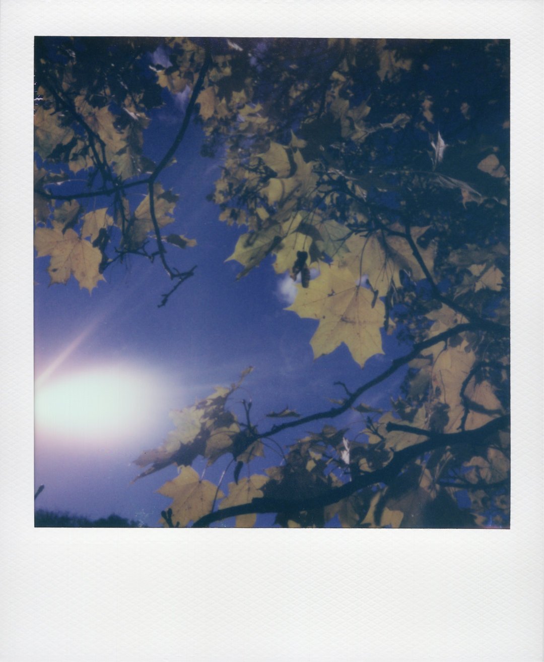 Crisp morning
Oslo, Norway
2022/10/15