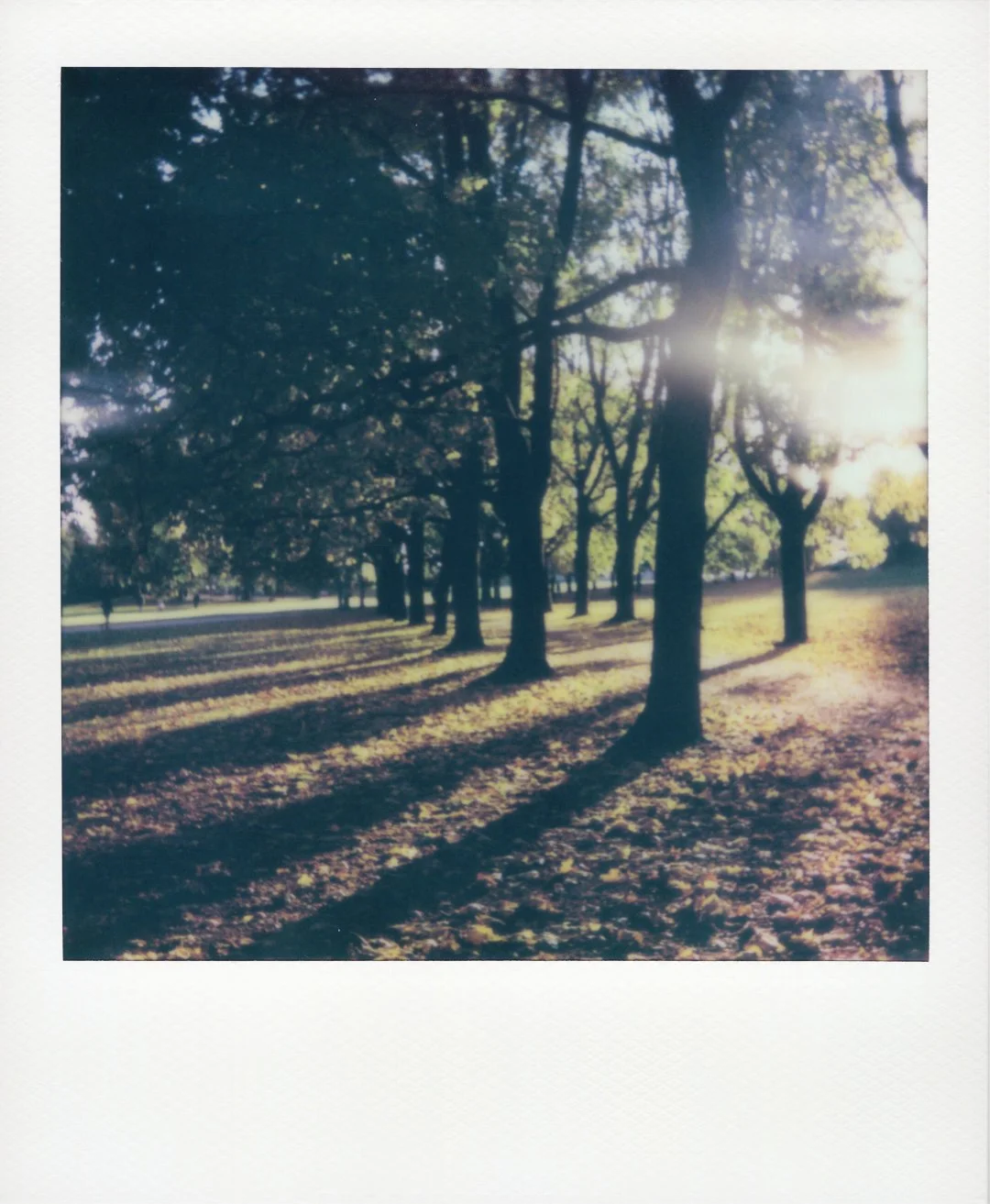 Crisp evening
Oslo, Norway
2022/10/06