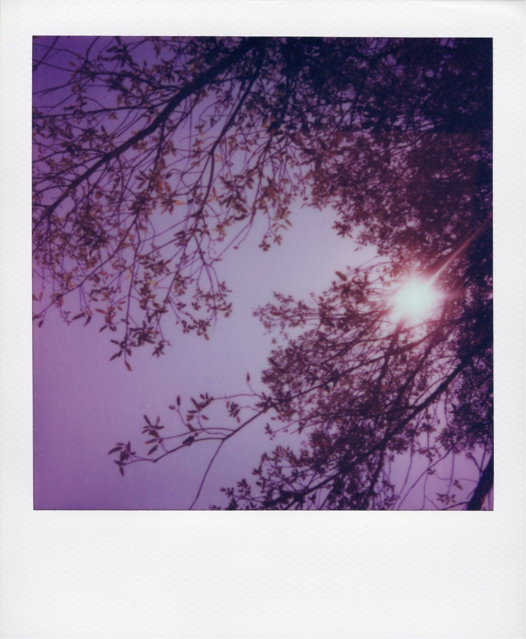 No rosy filters
Azibo, Portugal
2022/07/21