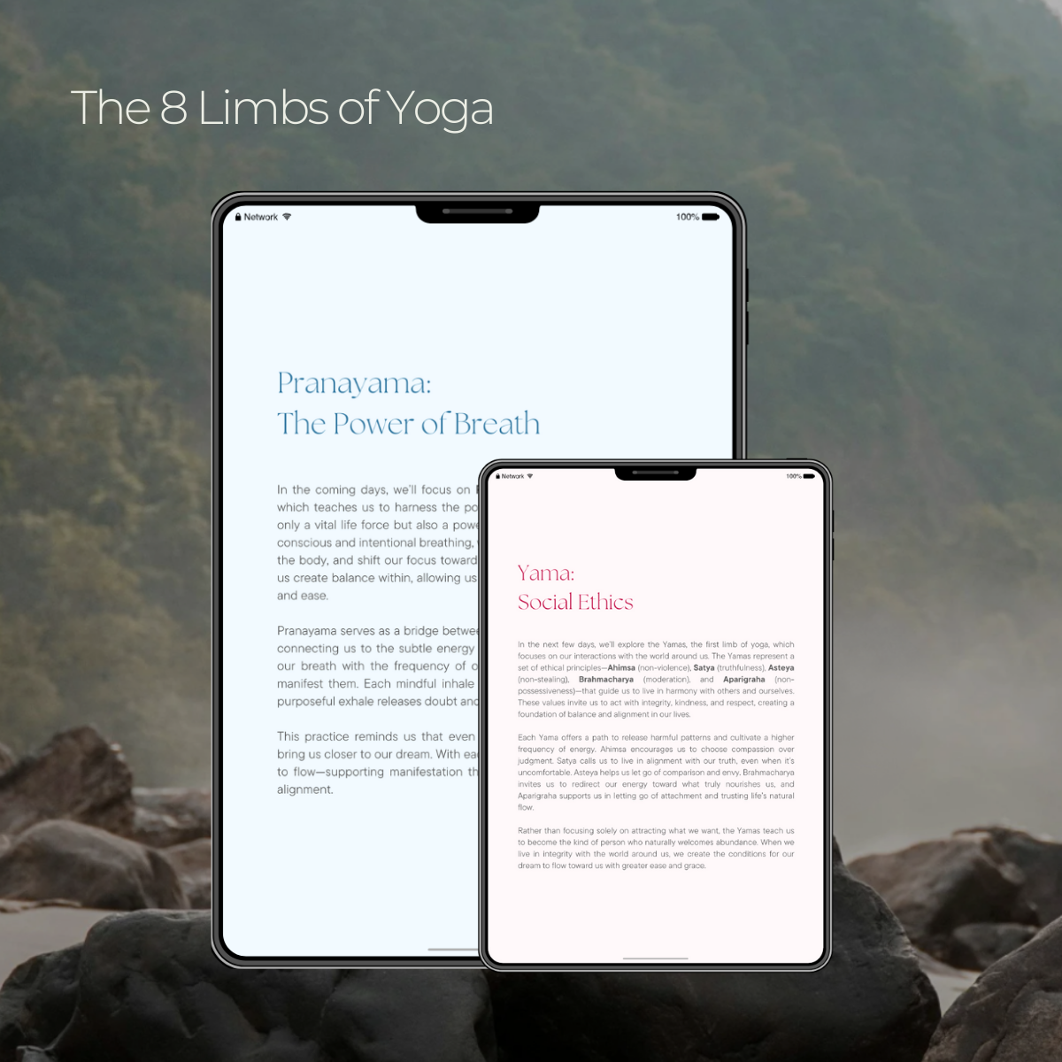 Journal Preview