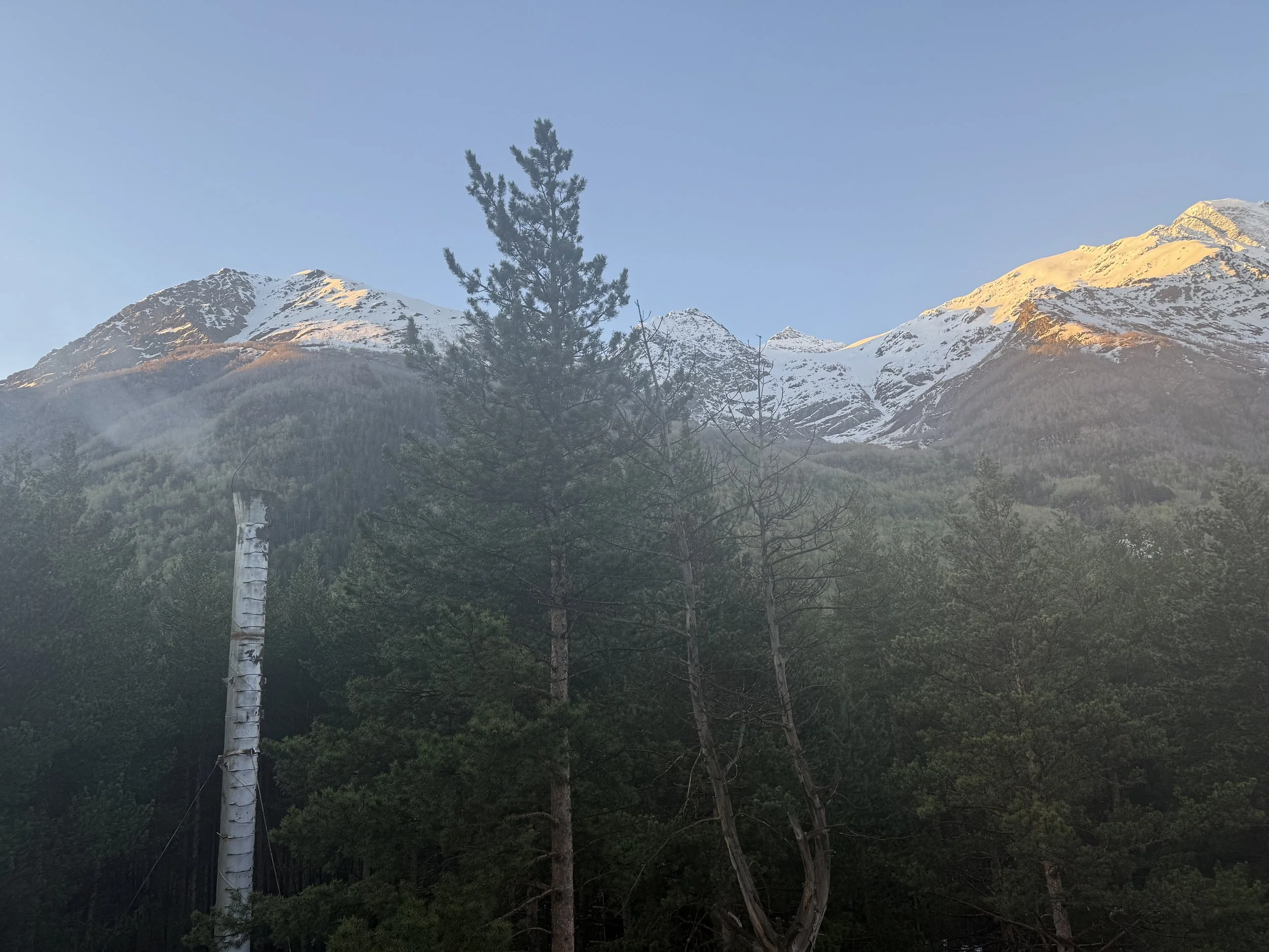 IMG_0001.jpeg