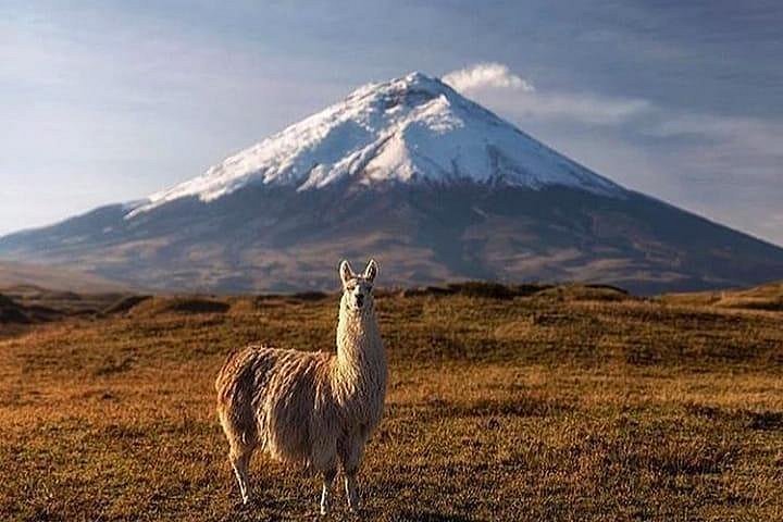 Cotopaxi