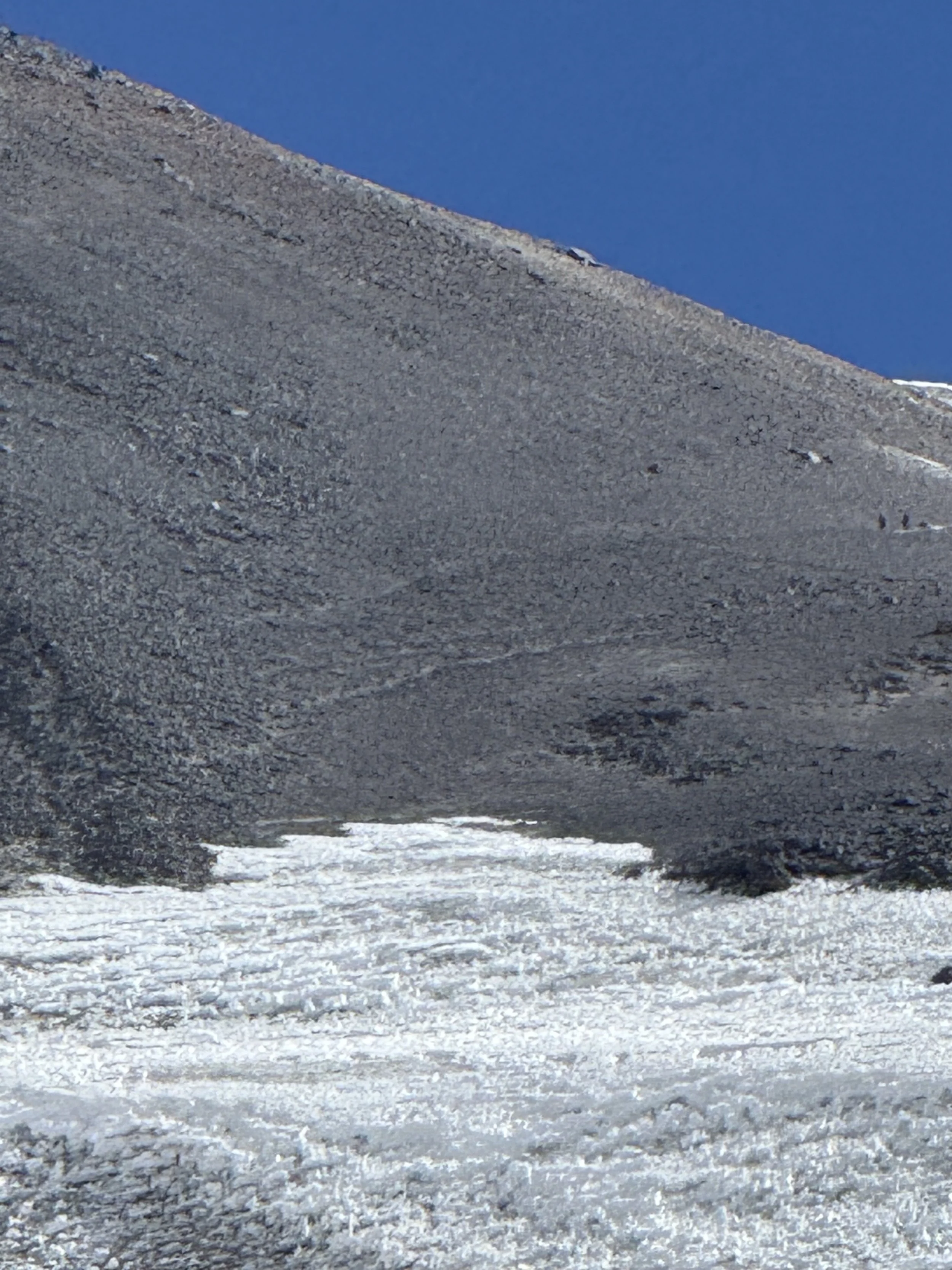 Snow-covered mountain slope with a clear blue sky in the background.