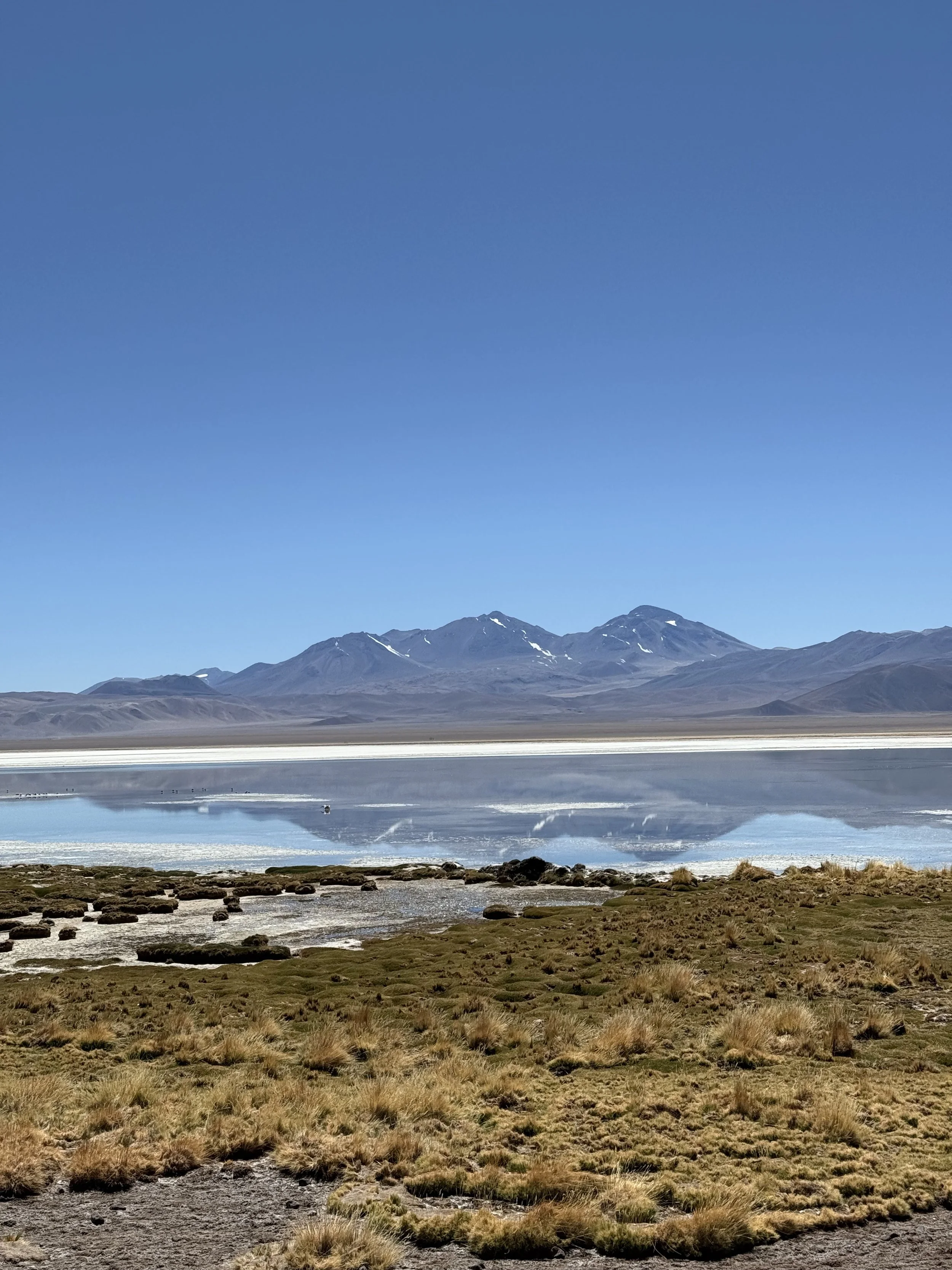 A serene landscape of a salt lake with mountains in the background under a clear blue sky, and a grassy foreground.