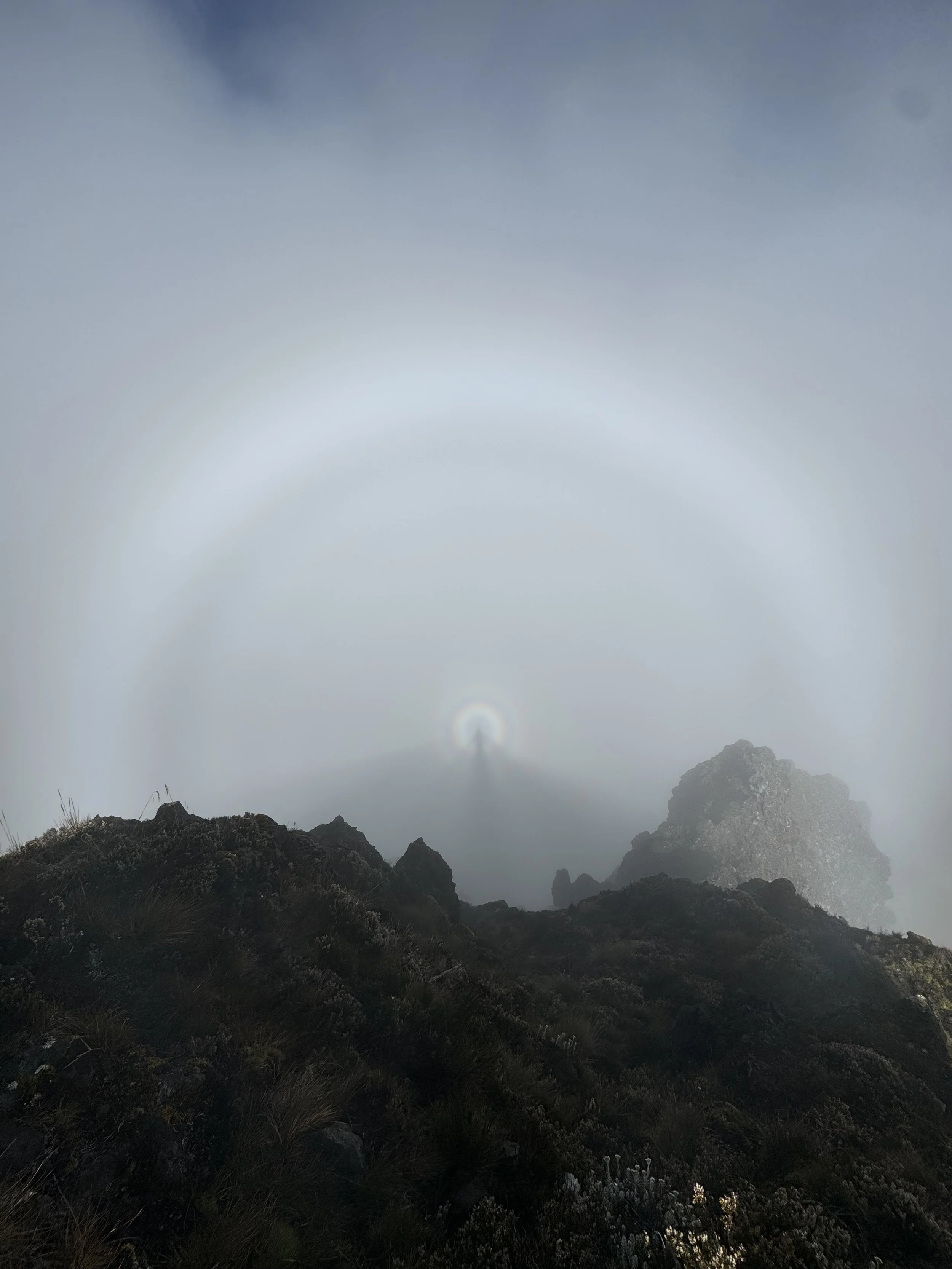 A foggy mountain landscape with rocks and sparse vegetation, featuring a rainbow halo in the sky.