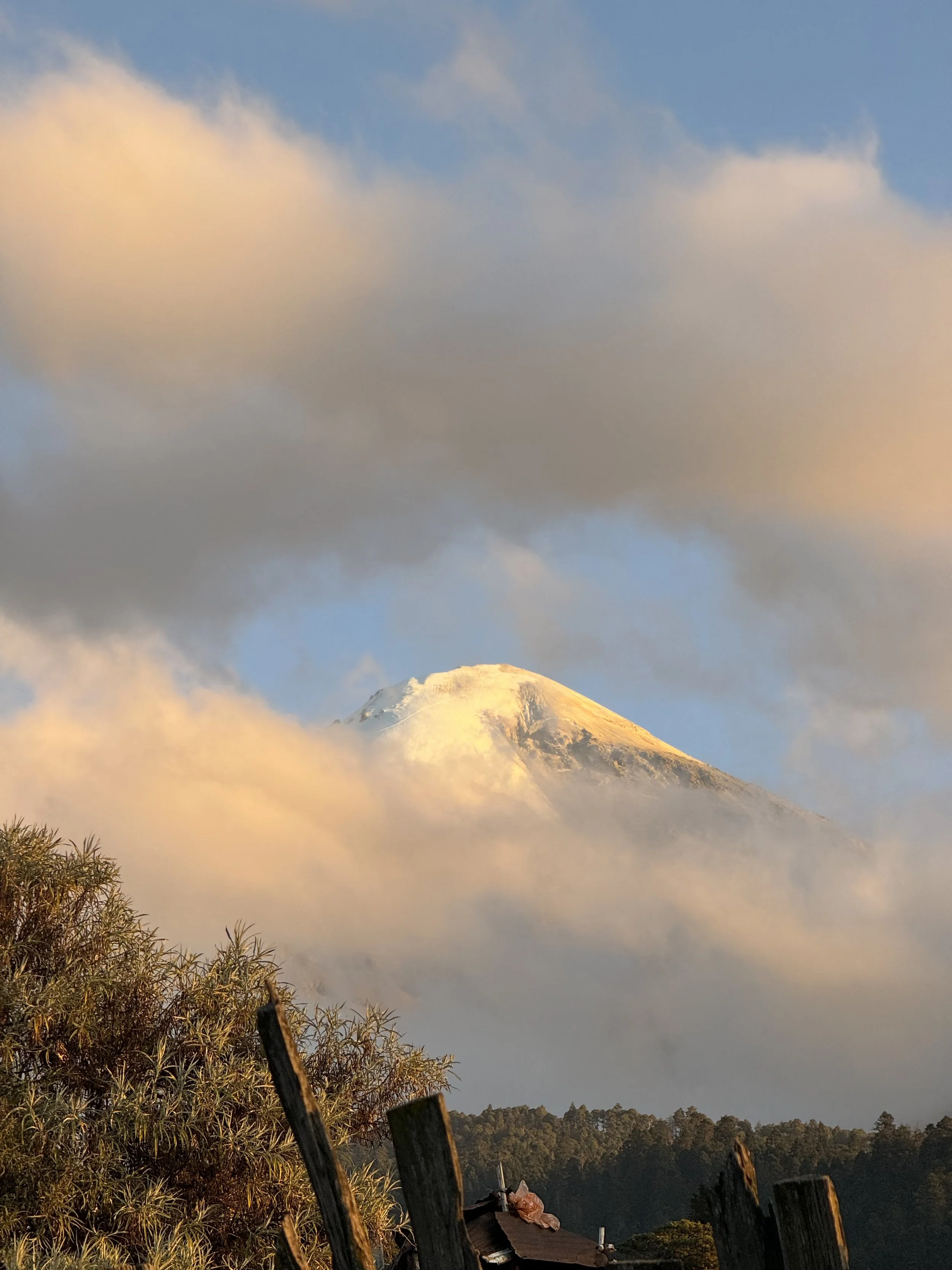 Snow-covered mountain, possibly a volcano, partly obscured by clouds, with some trees and fencing in the foreground.