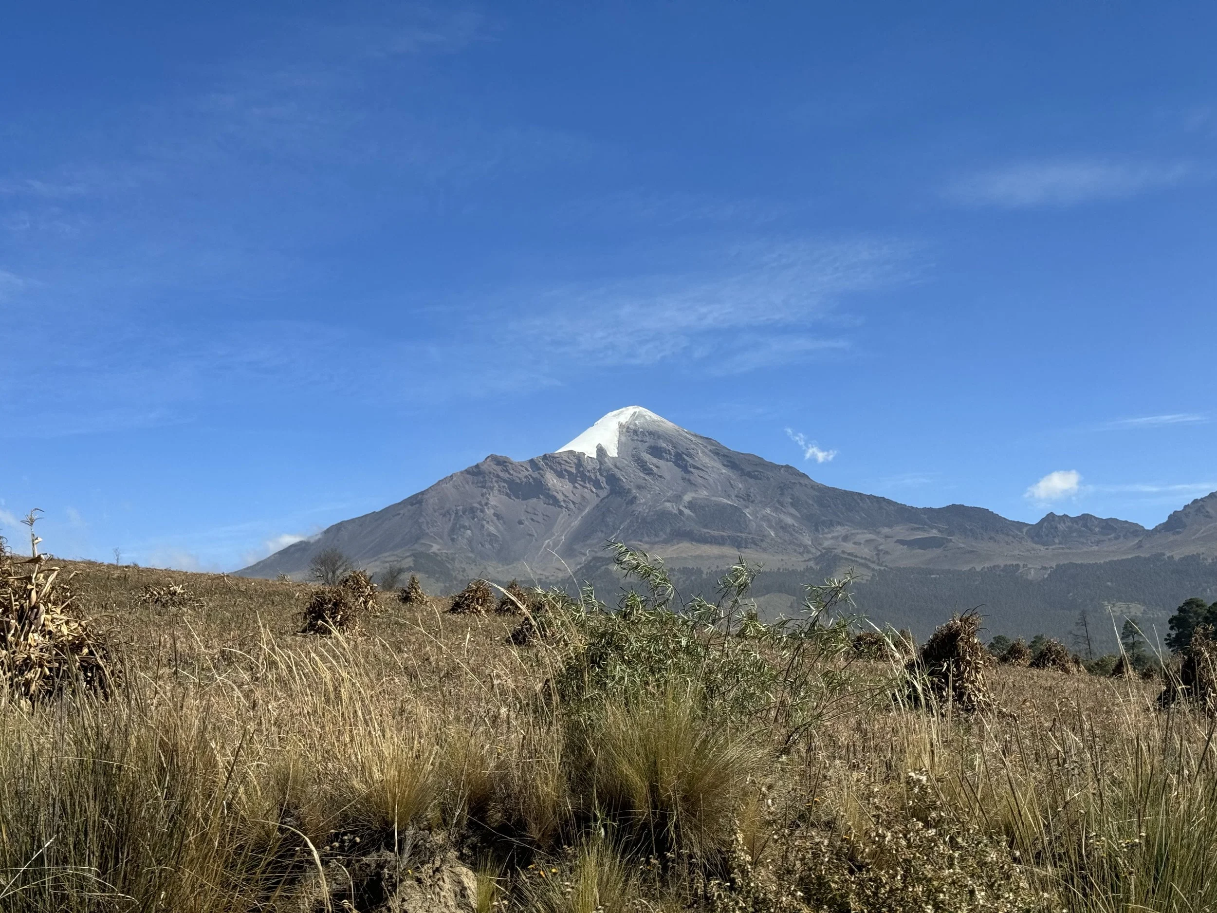 A mountain with a snow-capped peak against a blue sky with some clouds, viewed from a grassy plain with sparse shrubs and dry grass.