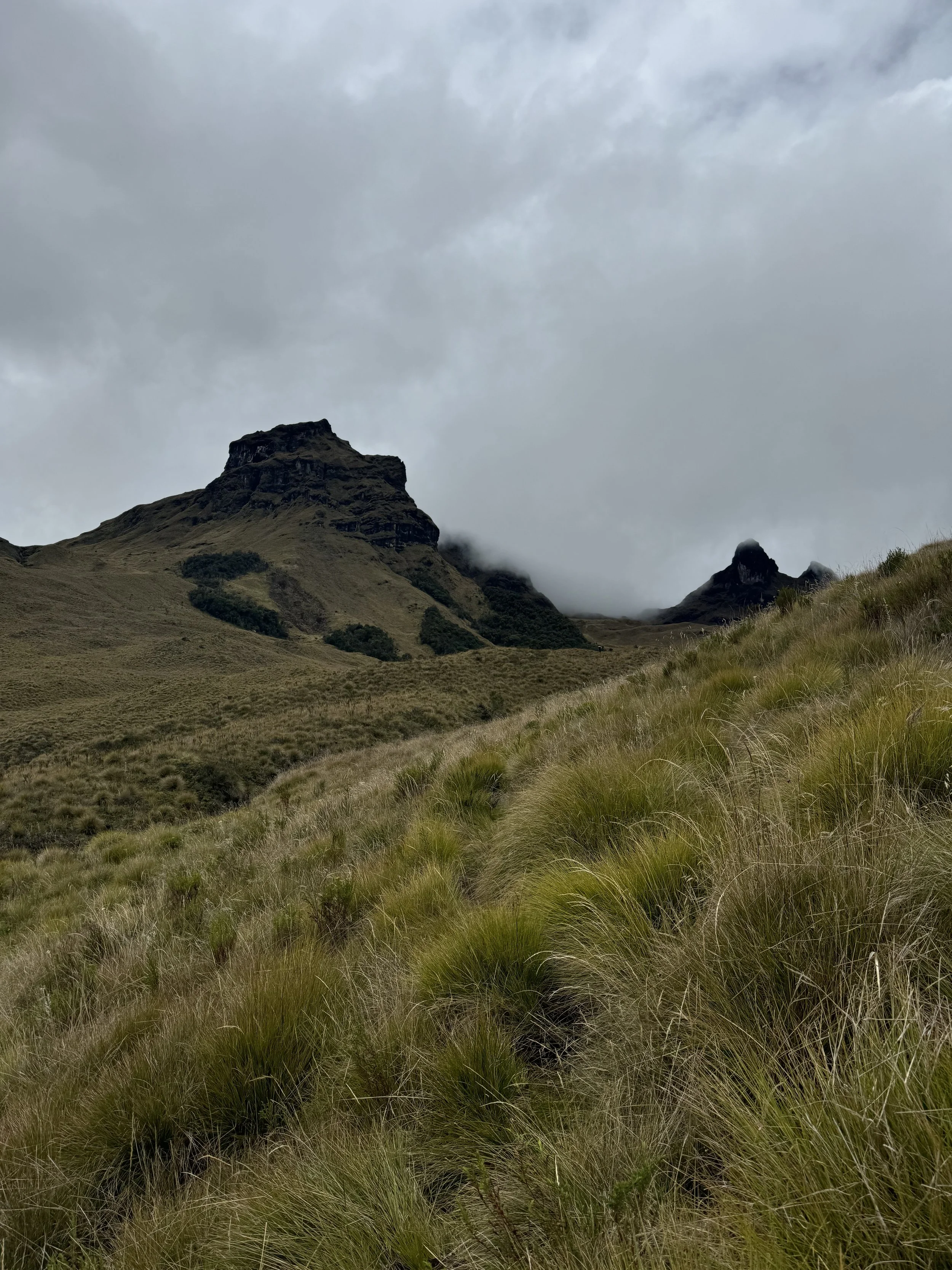 A mountainous landscape with grassy slopes in the foreground, rugged hills in the background, and cloudy skies overhead.