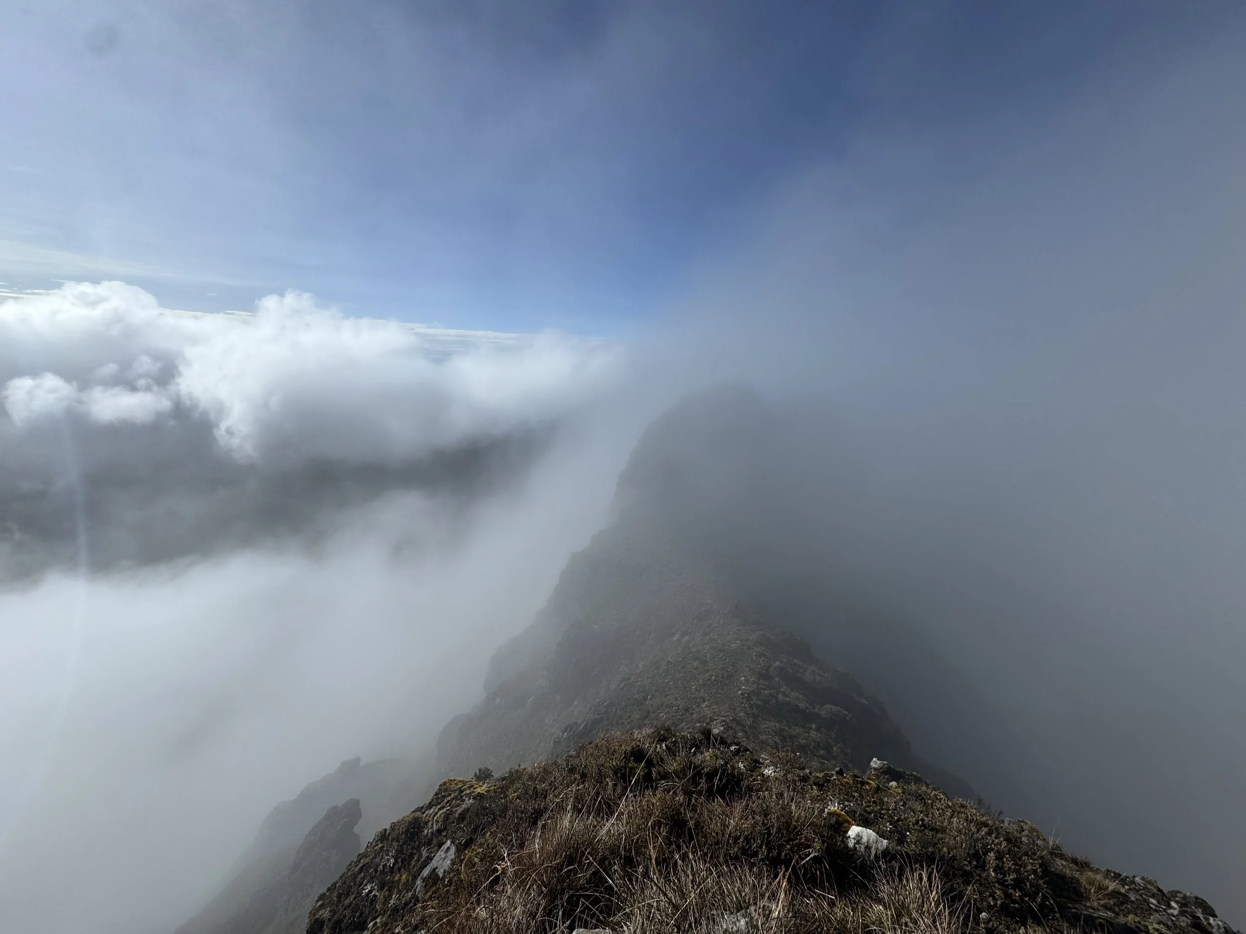 Cloudy mountain ridge with fog and clouds surrounding the peak, visible plants and rocks in the foreground.