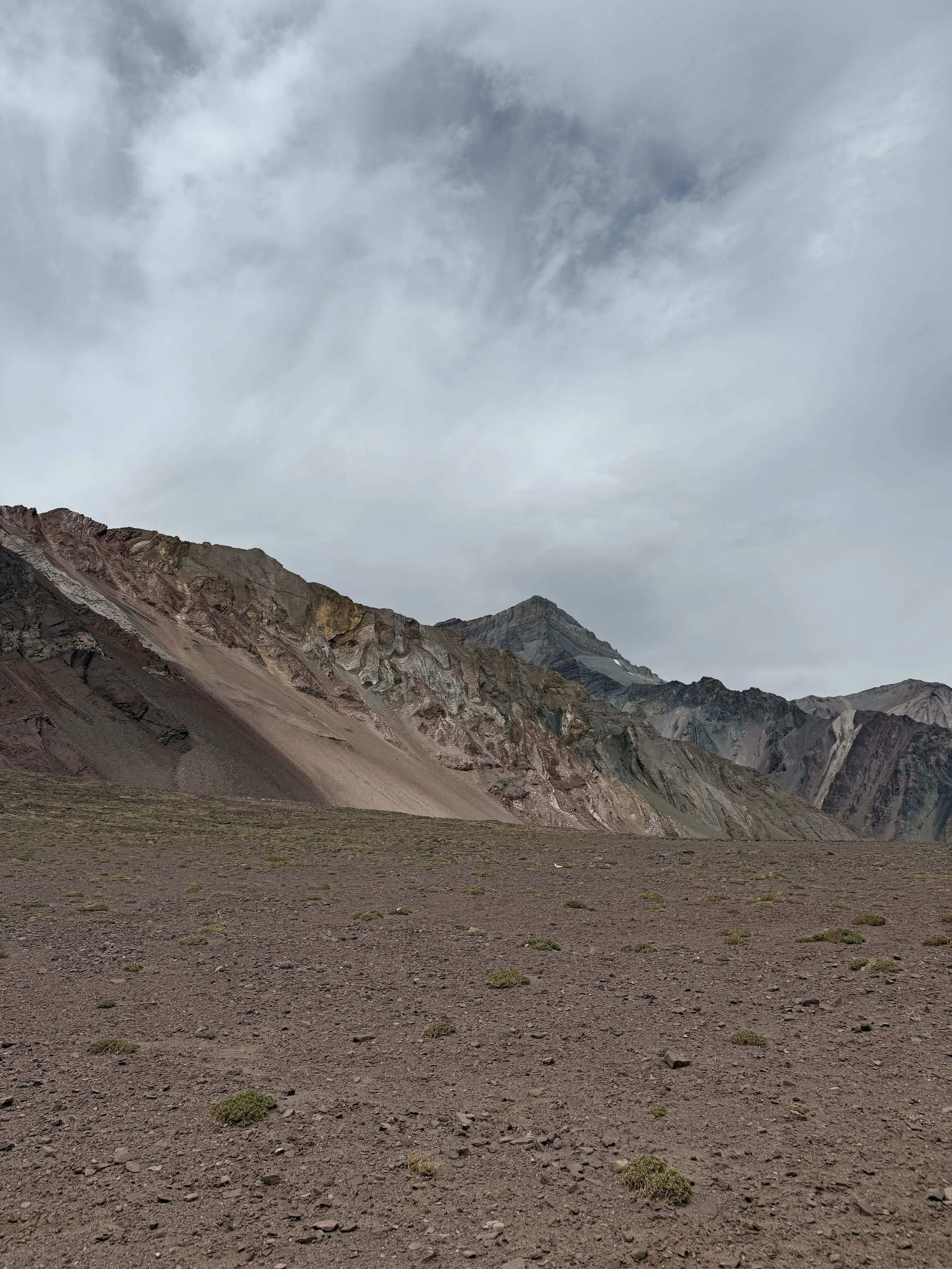 A barren desert landscape with scattered small green bushes, rugged multicolored mountains in the background, and a cloudy sky overhead.