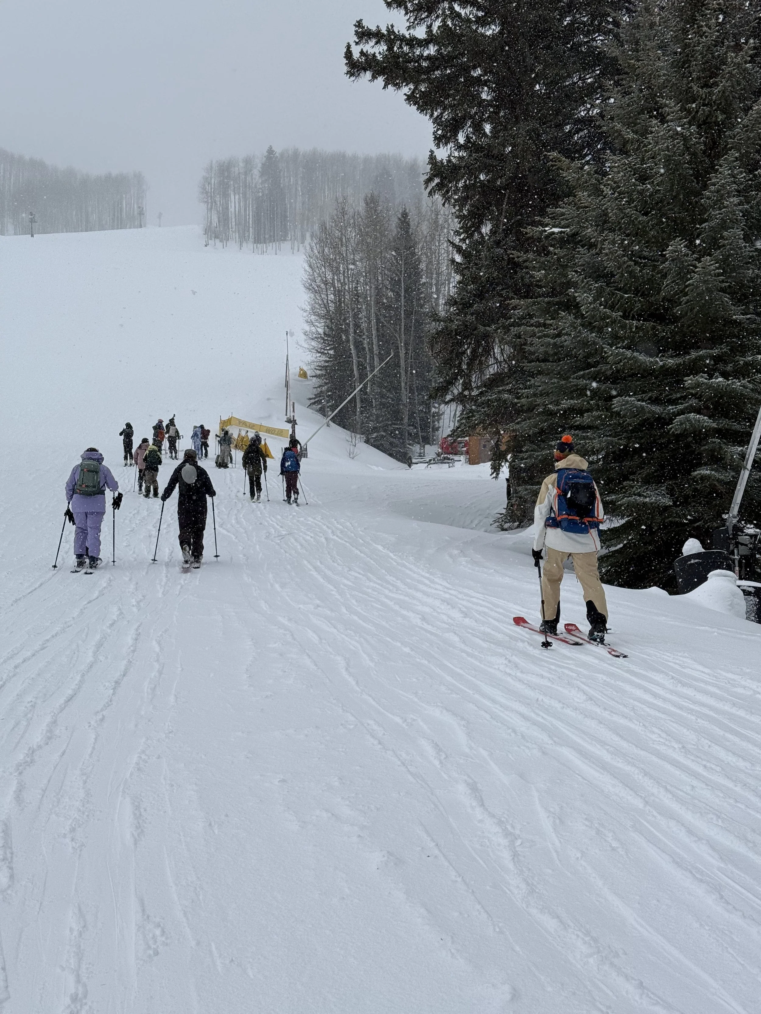 Snowy mountain ski area with people skiing and walking on the snow, tall evergreen trees on the right, snow falling, overcast sky.