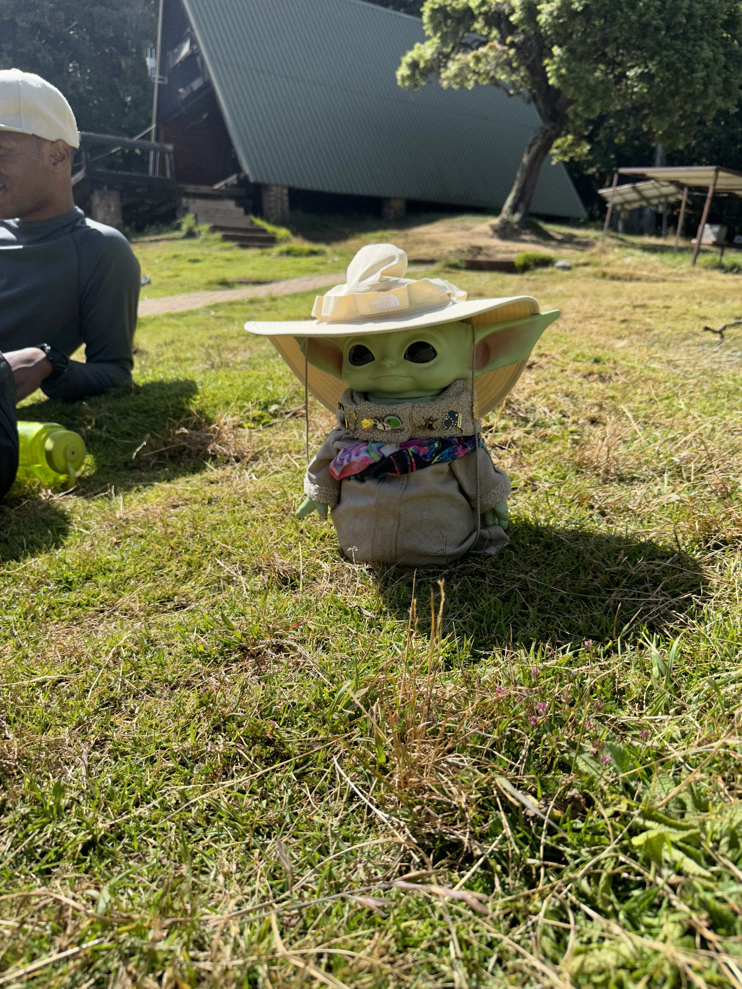 A small toy baby Yoda figure dressed in a beige outfit and wearing a wide-brimmed hat with a fabric band and a small flower, sitting on grass in a park-like setting.