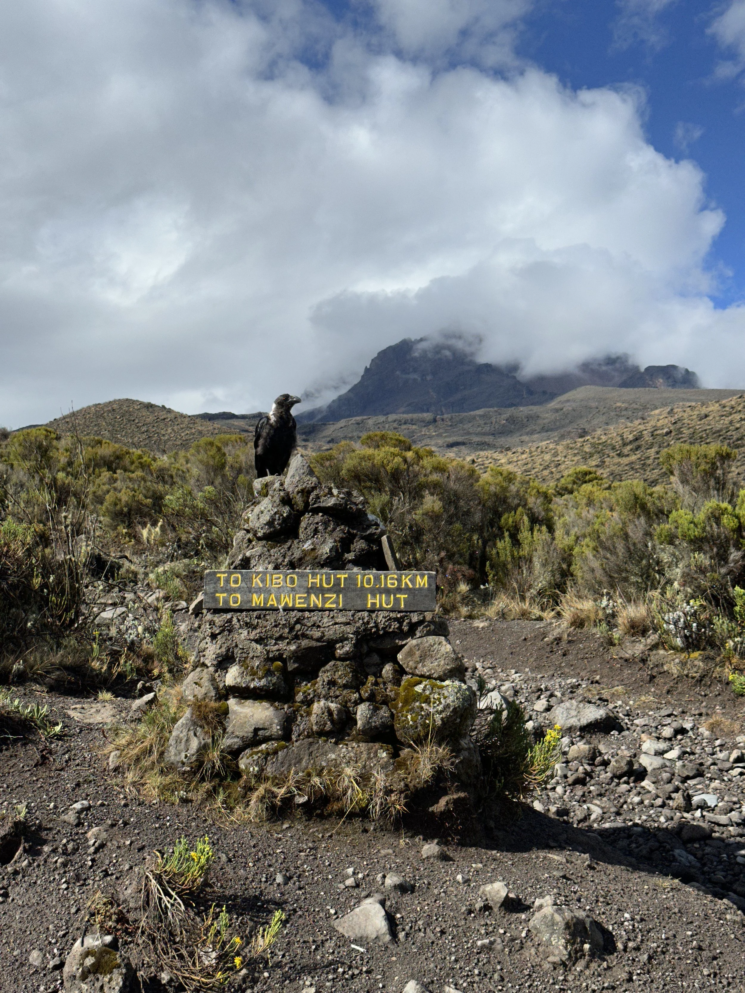 A rocky trail with a stone monument and a black bird, surrounded by sparse shrubbery, with mountains and clouds in the background.