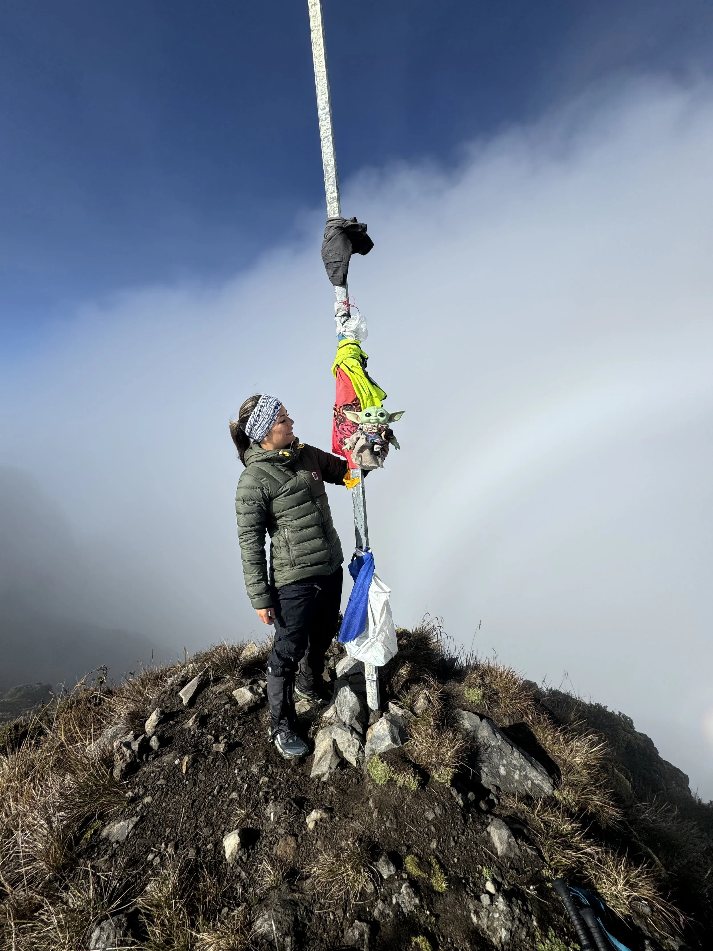 A woman standing on a mountain summit holding a flagpole with a Baby Yoda plush toy hanging from it. She is wearing a green jacket, black pants, and a headband, with a cloudy sky in the background.