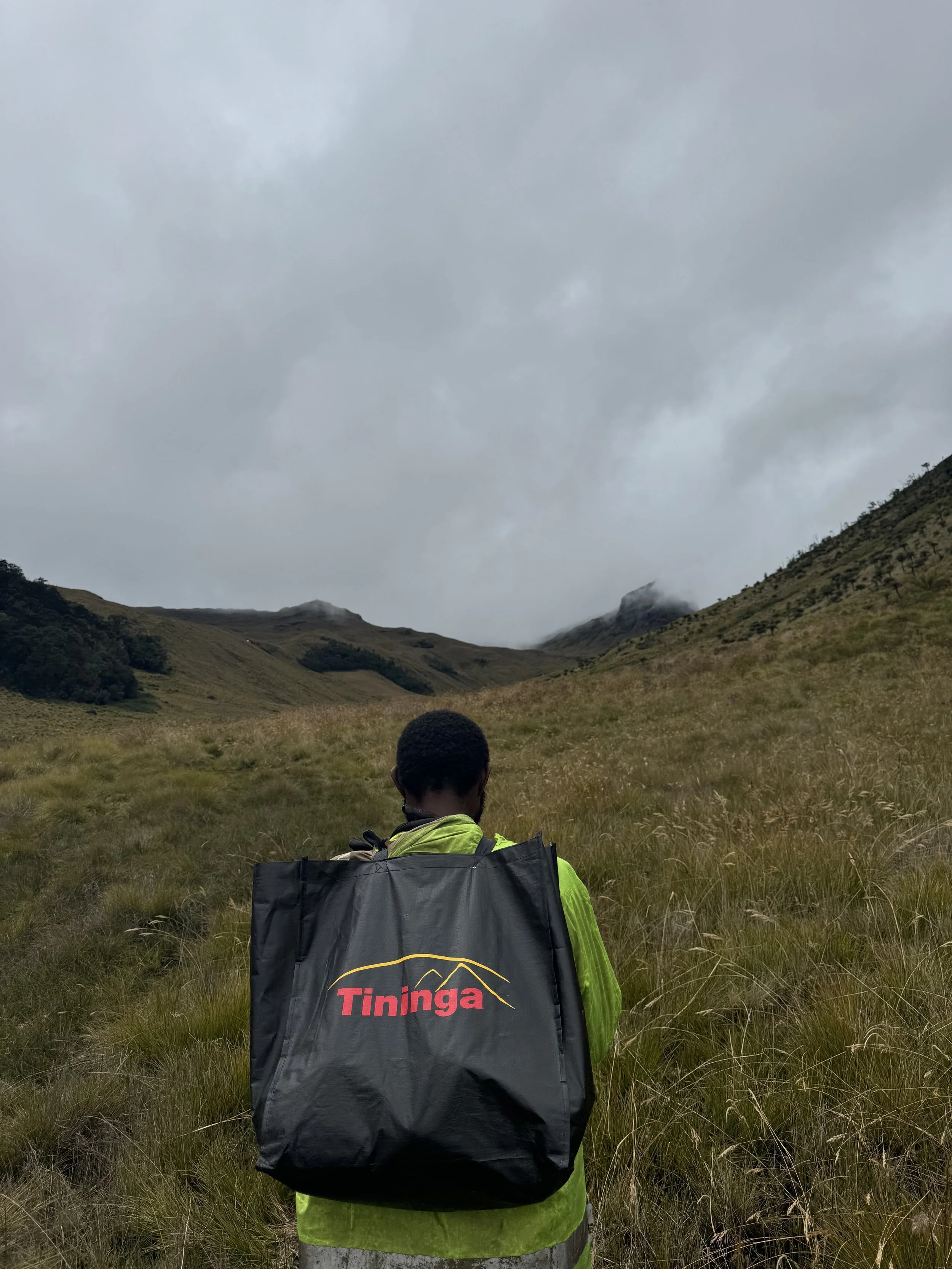 A person with short curly hair wearing a green jacket and carrying a black Tininga bag on their back, walking through a grassy mountain valley with cloudy sky overhead.
