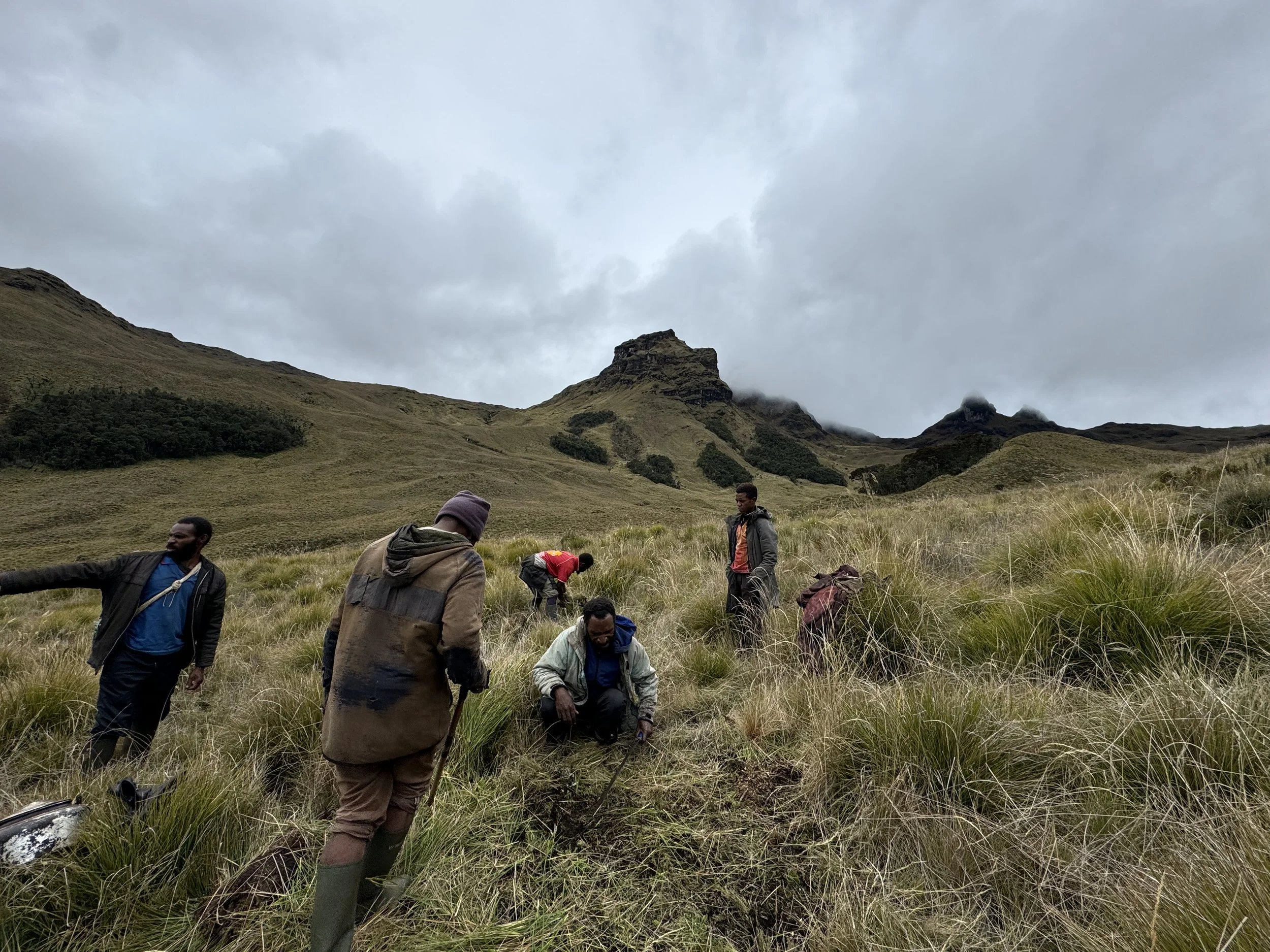 Group of five people in a grassy hillside with mountains and cloudy sky in the background, some are bent down, one standing, and one has arm extended.