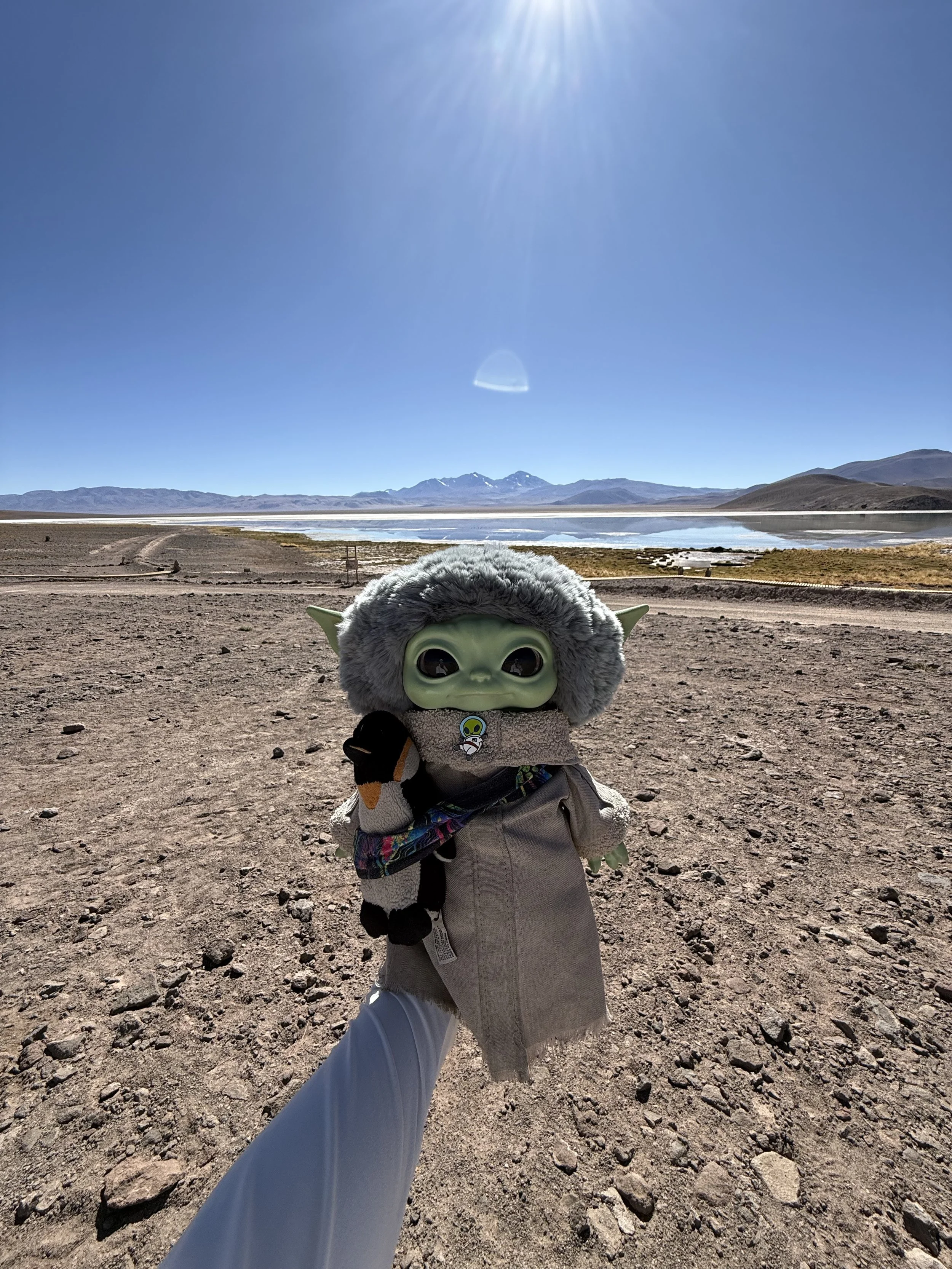 A plush toy of Baby Yoda (Grogu) from Star Wars, with large eyes and green skin, being held up in a desert landscape with mountains and a lake in the background. The toy is dressed in a coat with a fuzzy gray hood and a scarf, and is wearing a glove