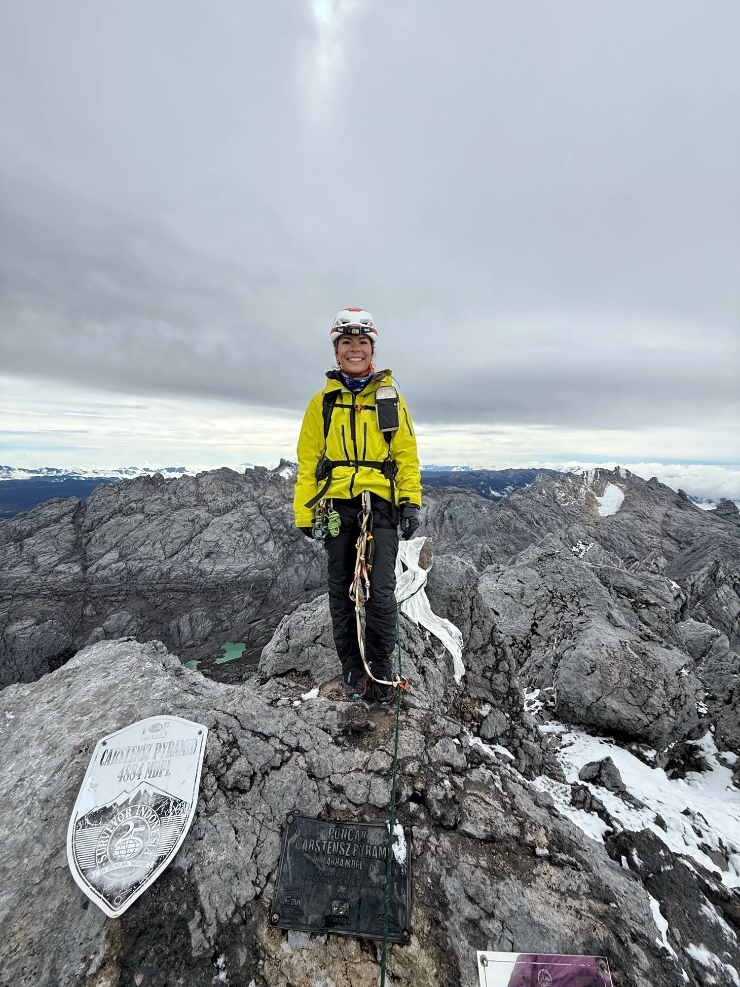 Woman in yellow jacket and climbing gear standing on mountaintop with rocky landscape and cloudy sky behind her, wildlife sign and summit plaque visible.