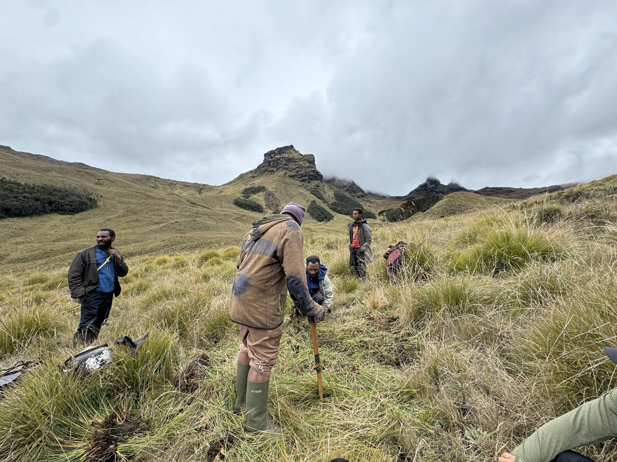 Group of five people hiking or exploring in grassy mountainous terrain on a cloudy day.