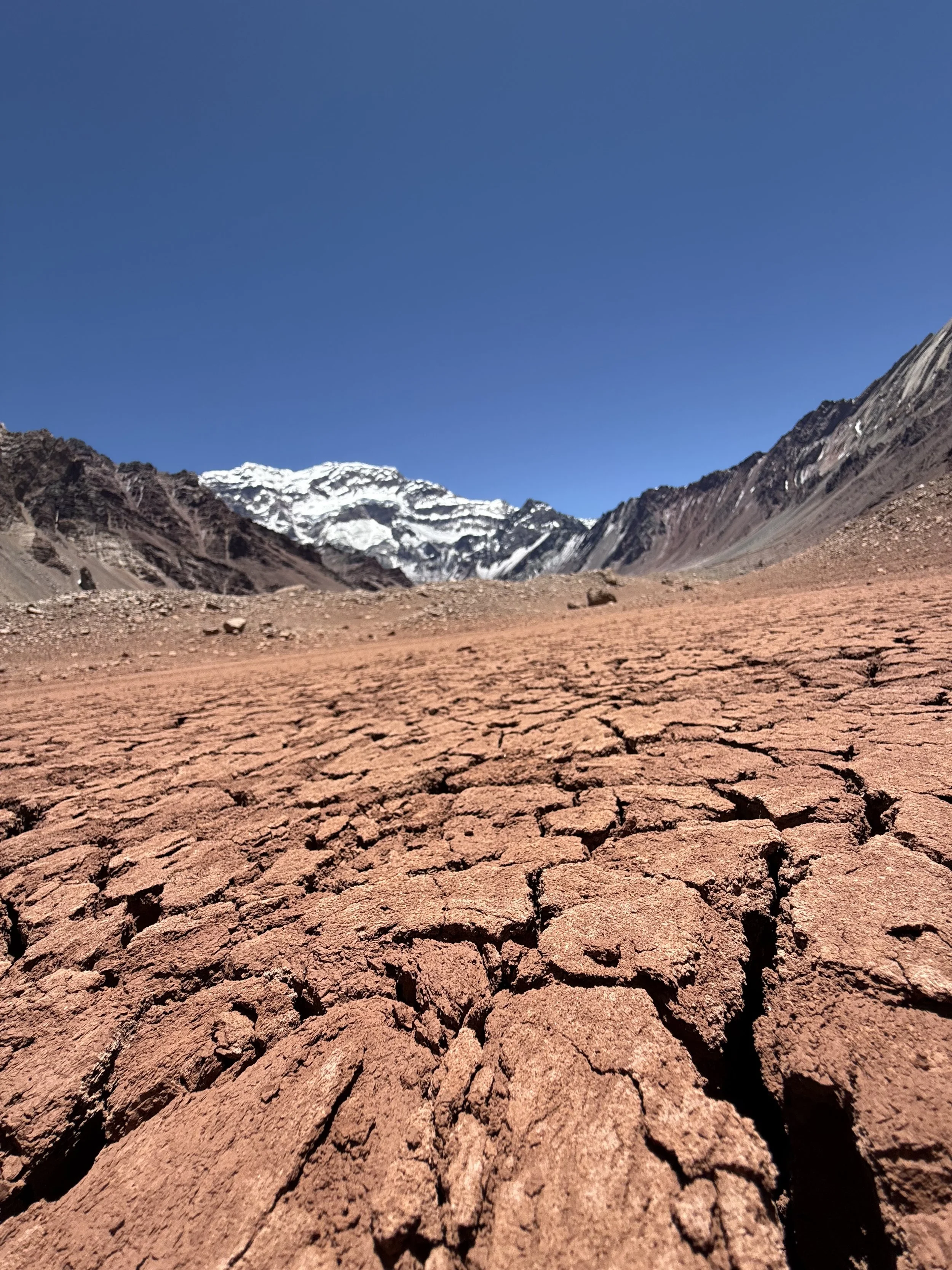 Close-up view of cracked, reddish-brown dry earth with snow-capped mountains in the background under a clear blue sky.
