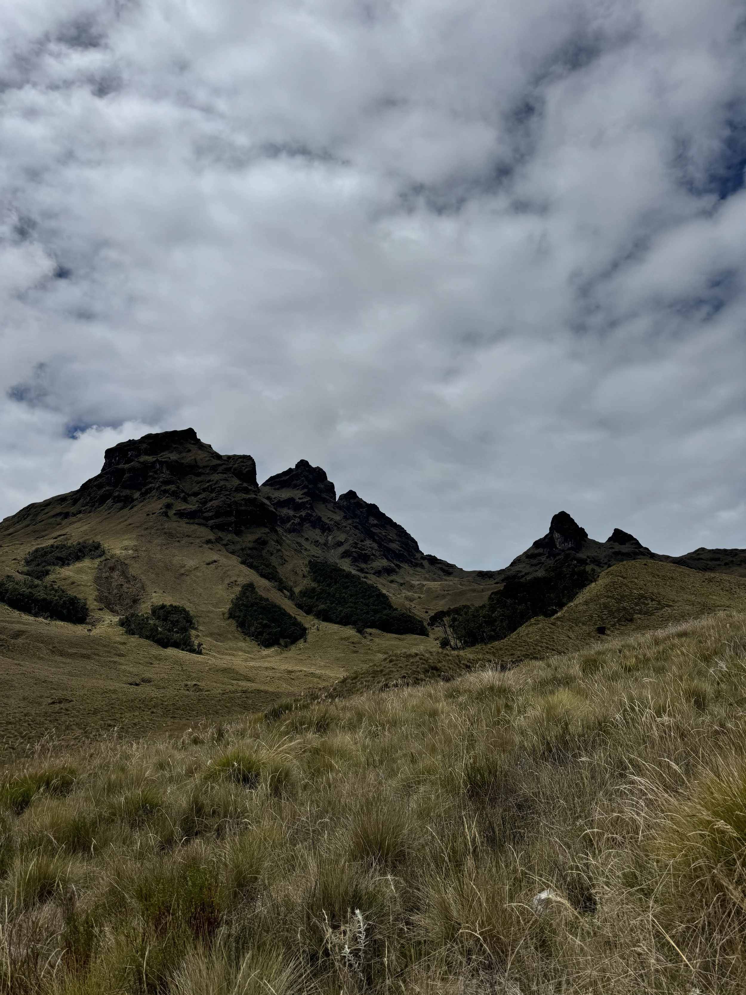 Mountain landscape with grassy hills and scattered trees under a cloudy sky.