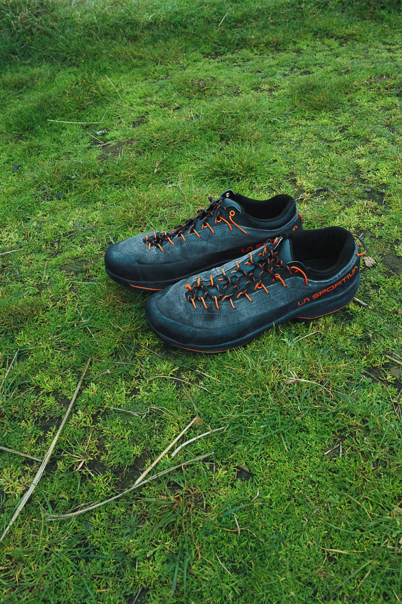 La Sportiva trail running shoes in grassy outdoor landscape – product in nature