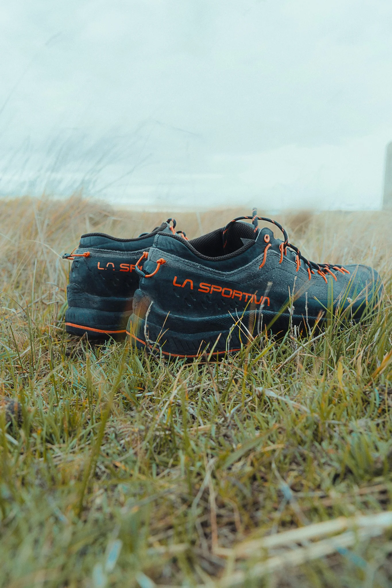 La Sportiva TX4 trail running shoes in grassy outdoor landscape – product in nature