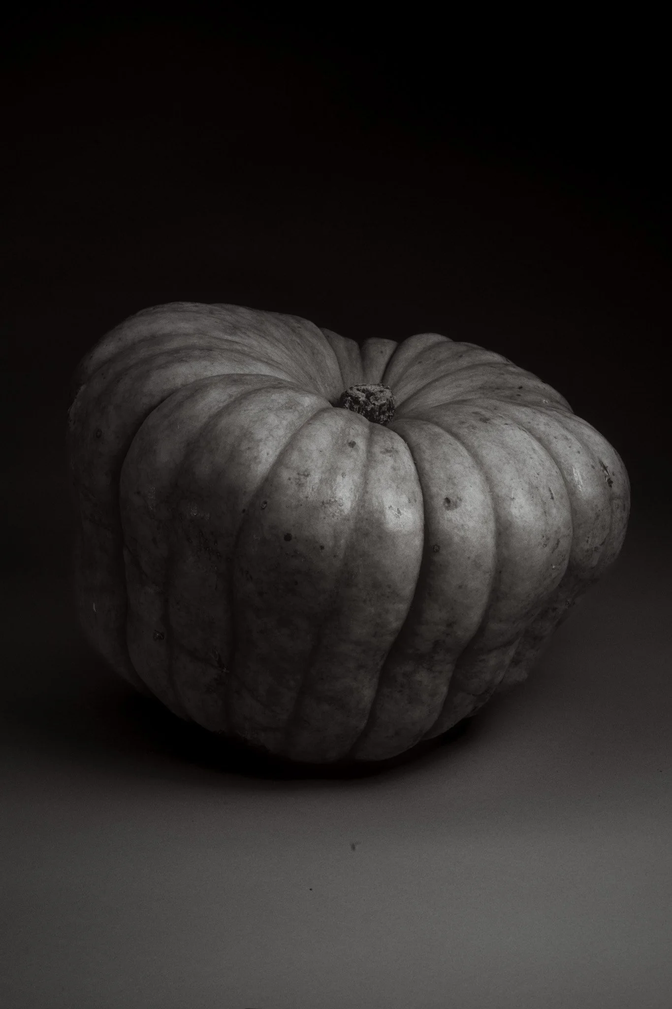 Close-up pumpkin texture for Torello farm – artistic editorial material photography