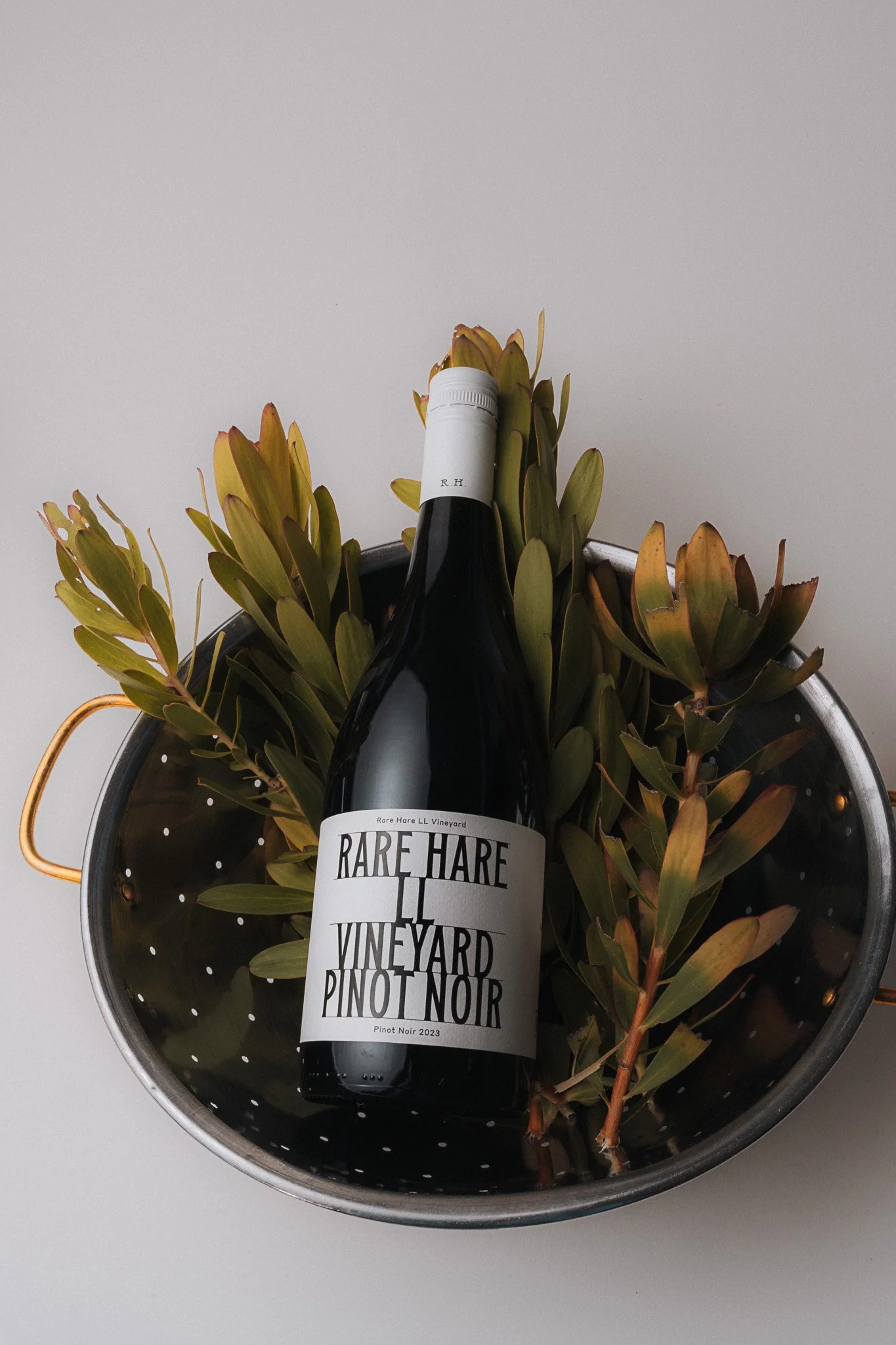 Rare Hare Vineyard Pinot Noir bottle styled with props – creative editorial photography