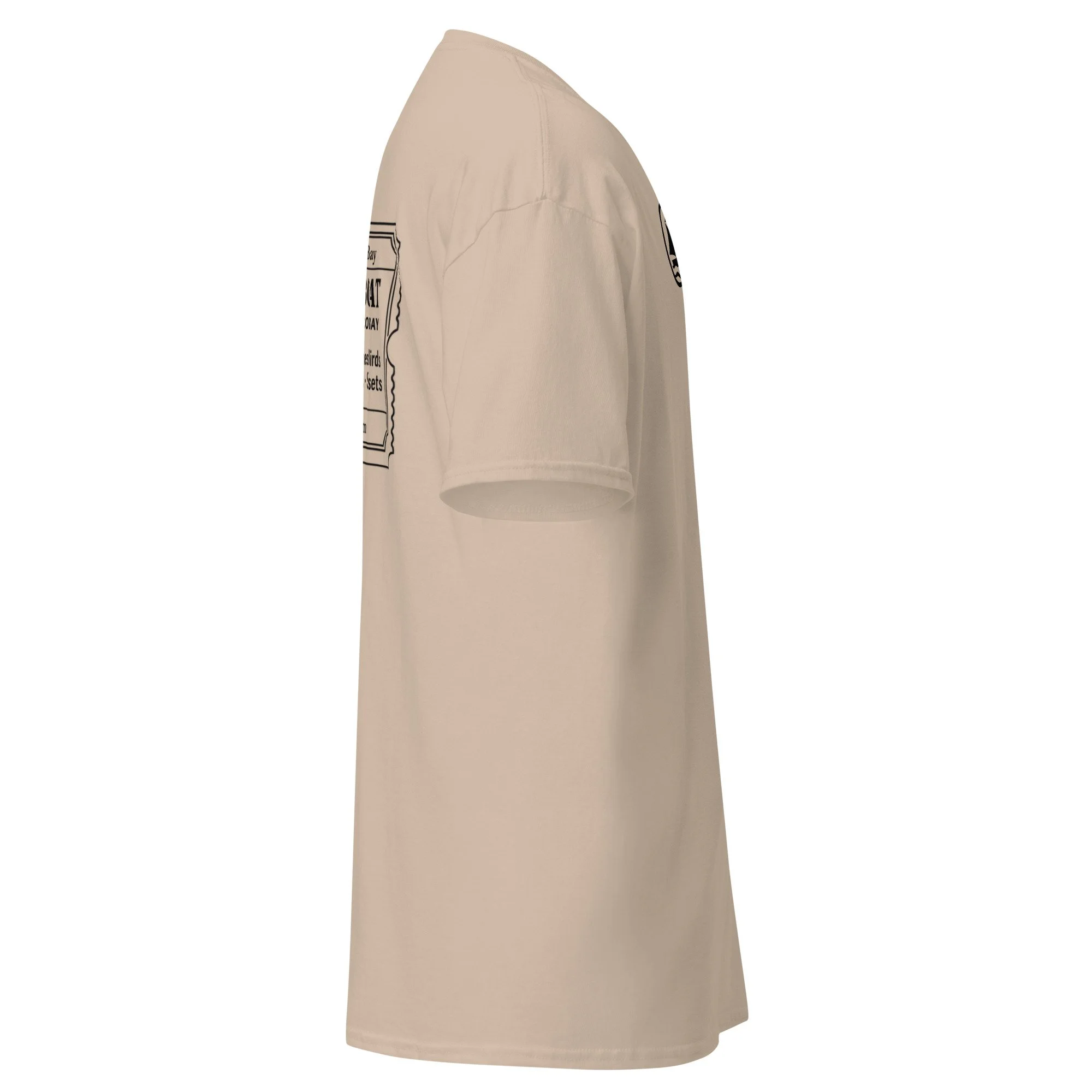 unisex-classic-tee-sand-right-6a11b744224de.jpg