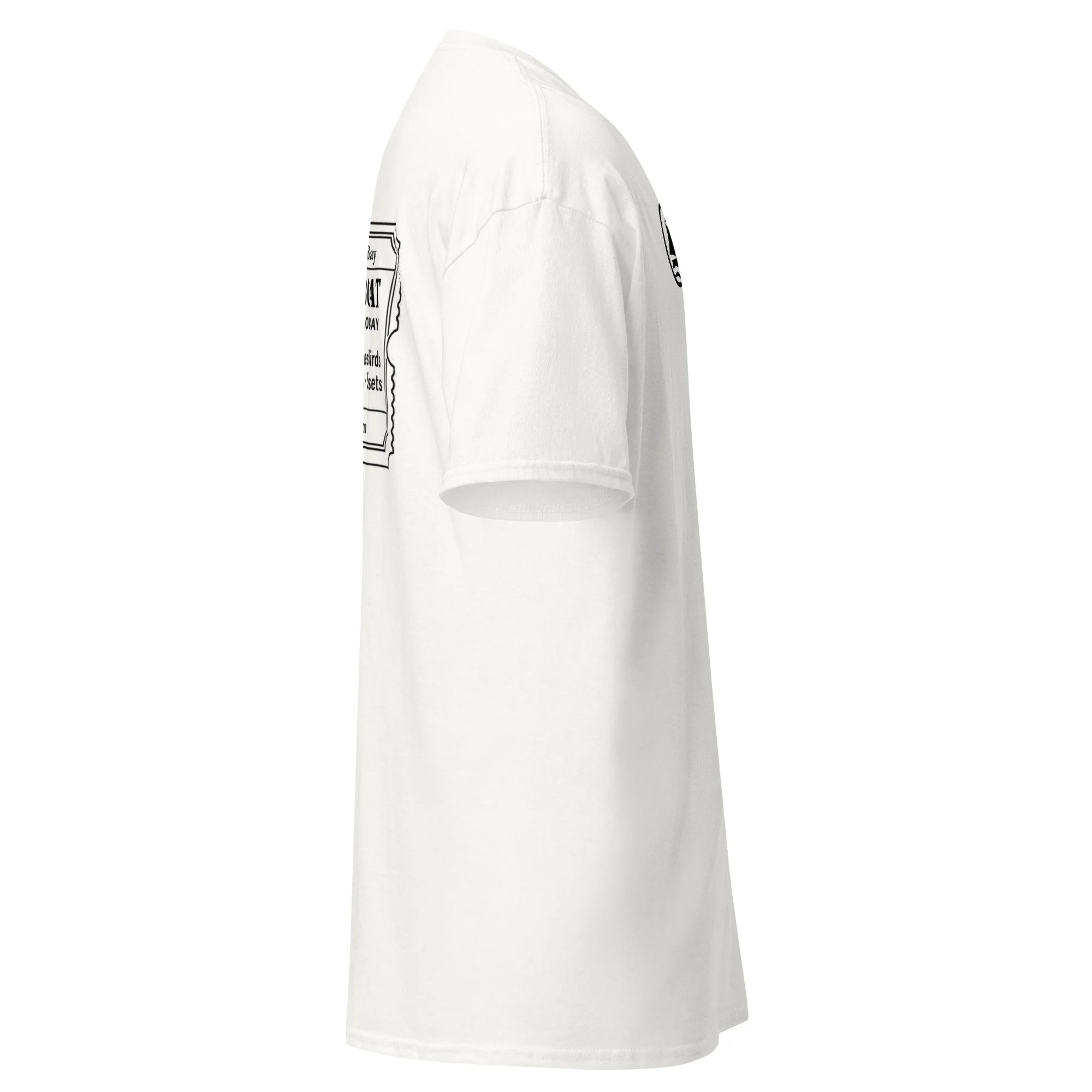 unisex-classic-tee-white-right-6a11b74422610.jpg