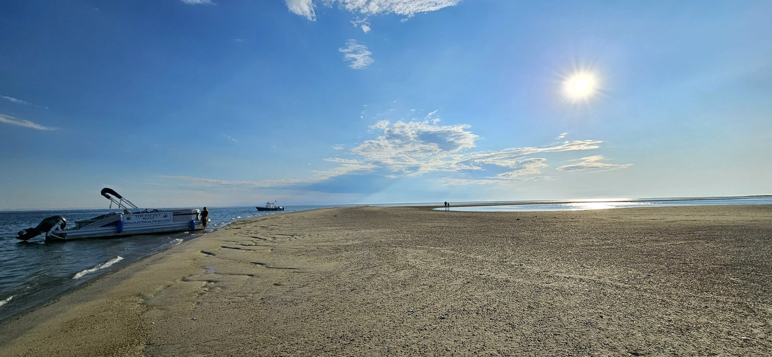 Wellfleet Harbor Cruises: The Best Way to Experience Cape Cod's Hidden Harbor