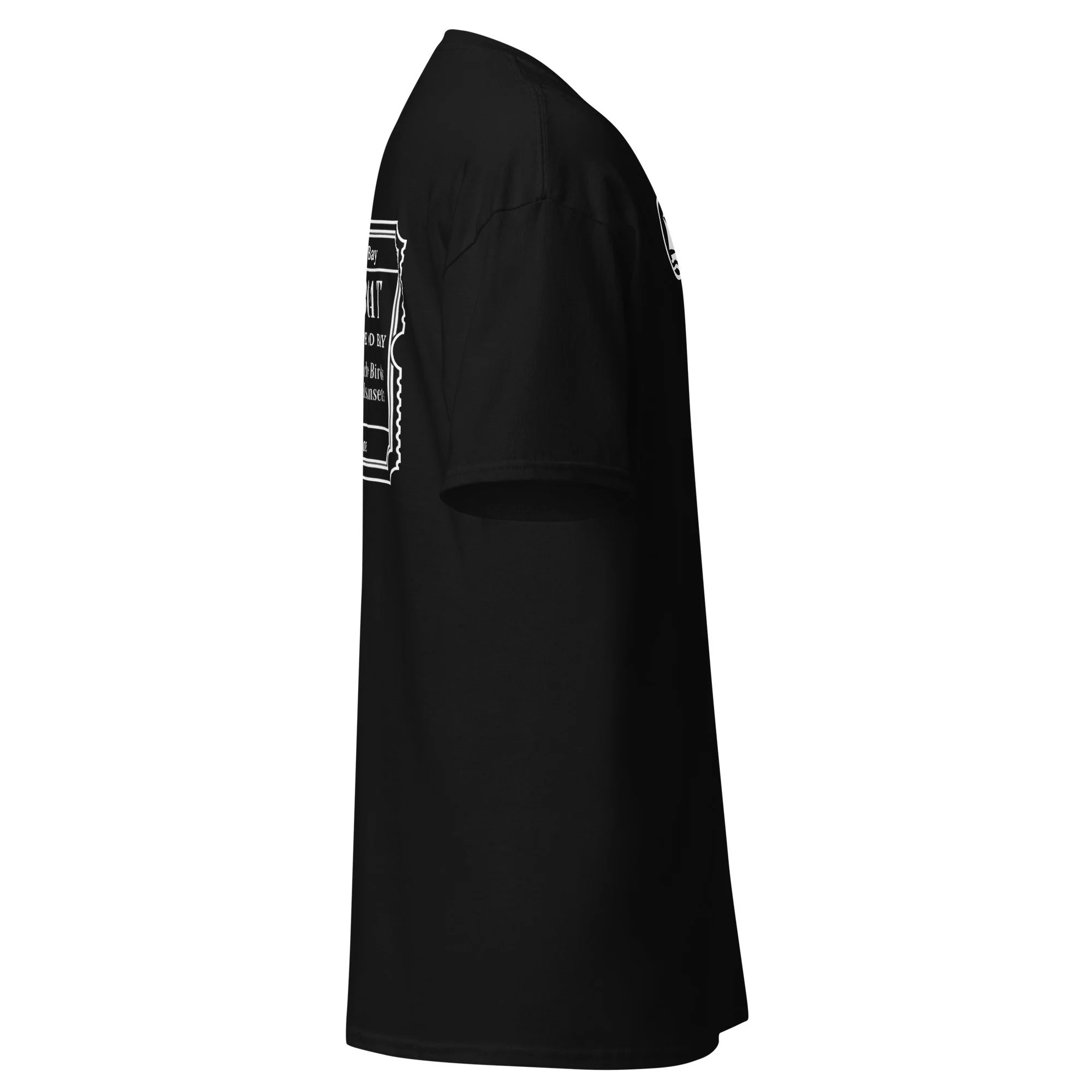 unisex-classic-tee-black-right-6a5590a53bd6f.jpg