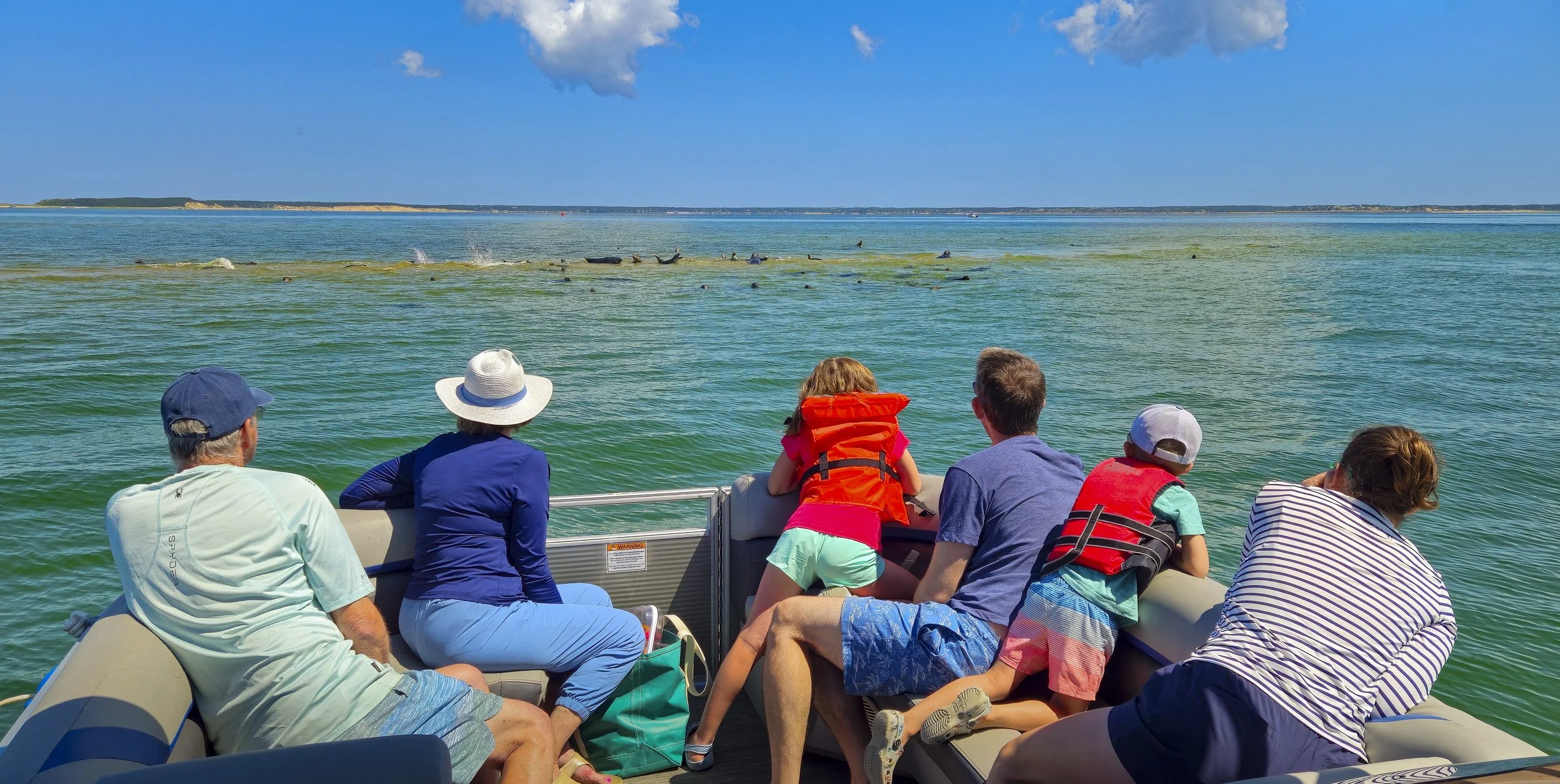 A group of people, including adults and children, on a boat watching dolphins in the water near the shore on a sunny day.