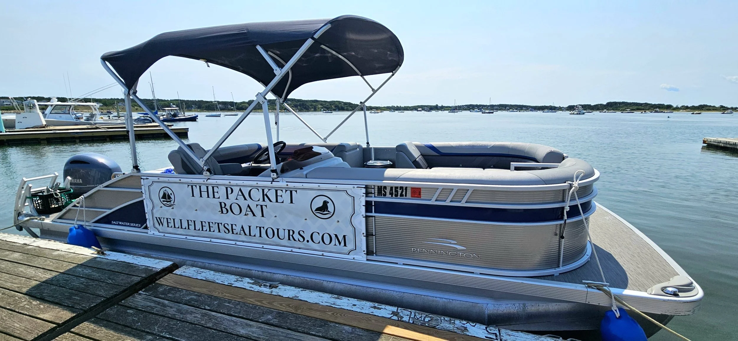 A pontoon boat docked at a marina with calm water, multiple boats, and a clear sky in the background.