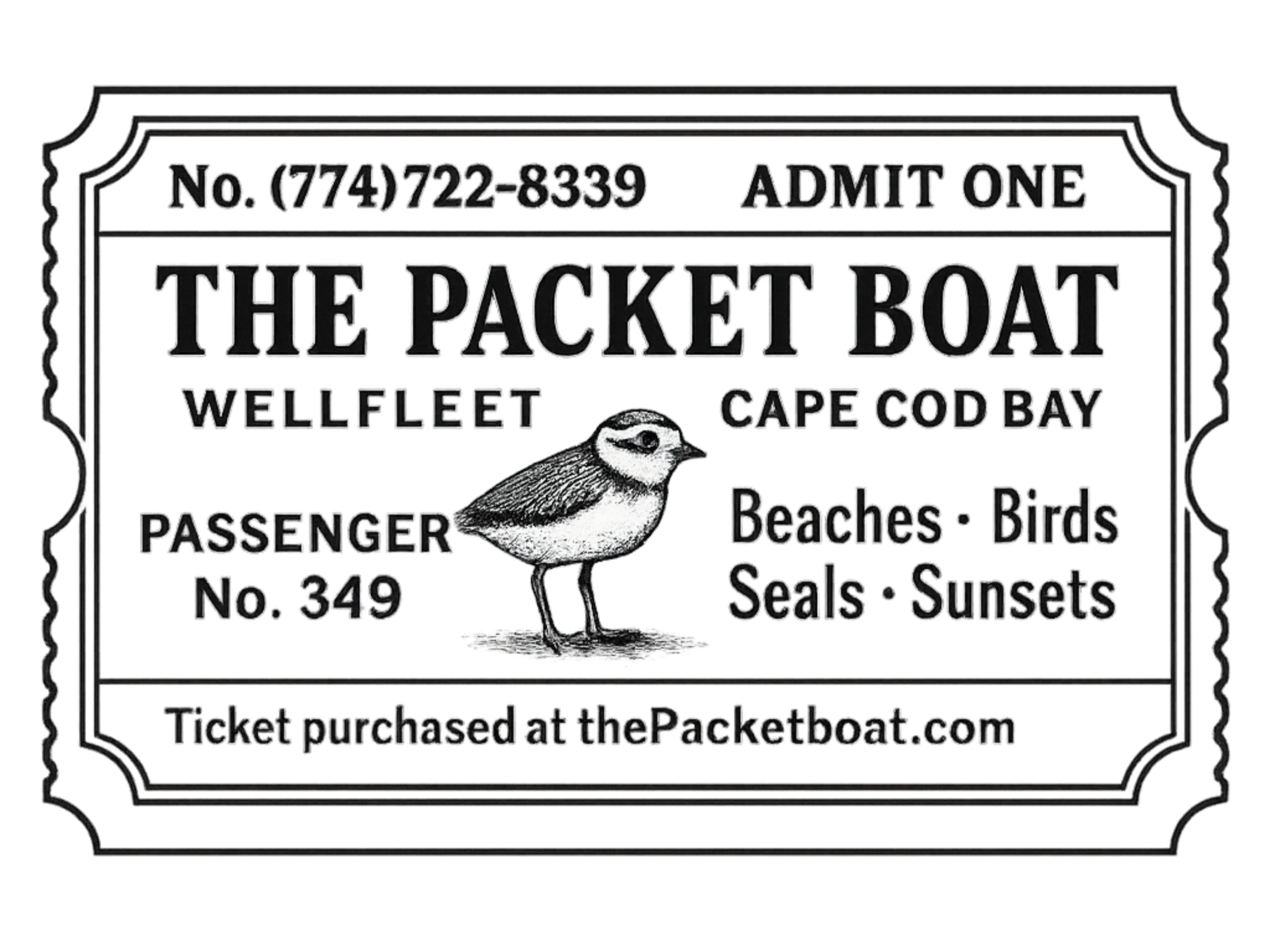Black and white illustration of a ticket for a boat tour titled 'The Packet Boat' departing from Wellfleet to Cape Cod Bay. The ticket features a small bird illustration in the center, with options to visit beaches, see birds, seals, and sunsets. The ticket includes a phone number, ticket number, and mentions purchasing at thePacketboat.com.