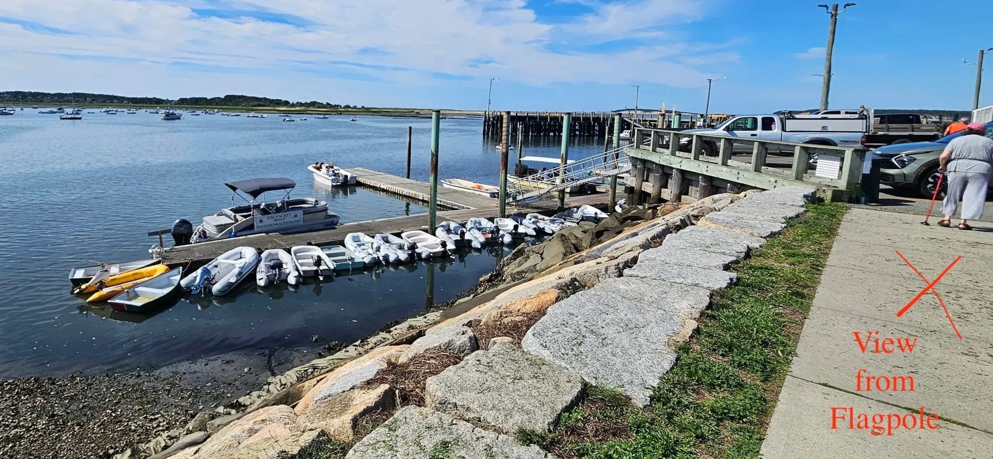 A marina with small boats docked at a pier, with a parking area and parked trucks and cars on the right side. There is a woman with a cane walking on the sidewalk, and a sign on the image says 'View from Flagpole' crossed out in red.