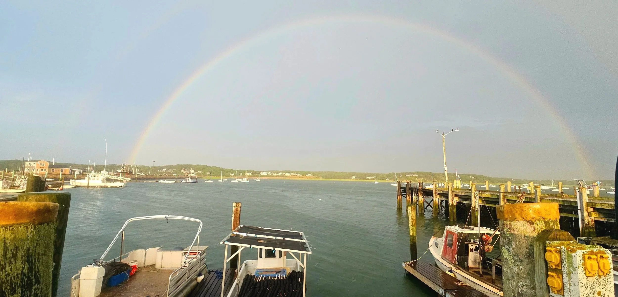 The Complete Guide to Wellfleet Town Pier