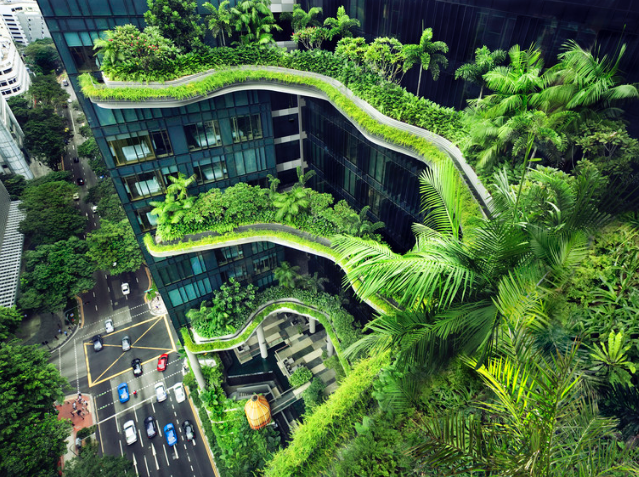 The Business Times opinion editorial on the impact to business when design is neglected