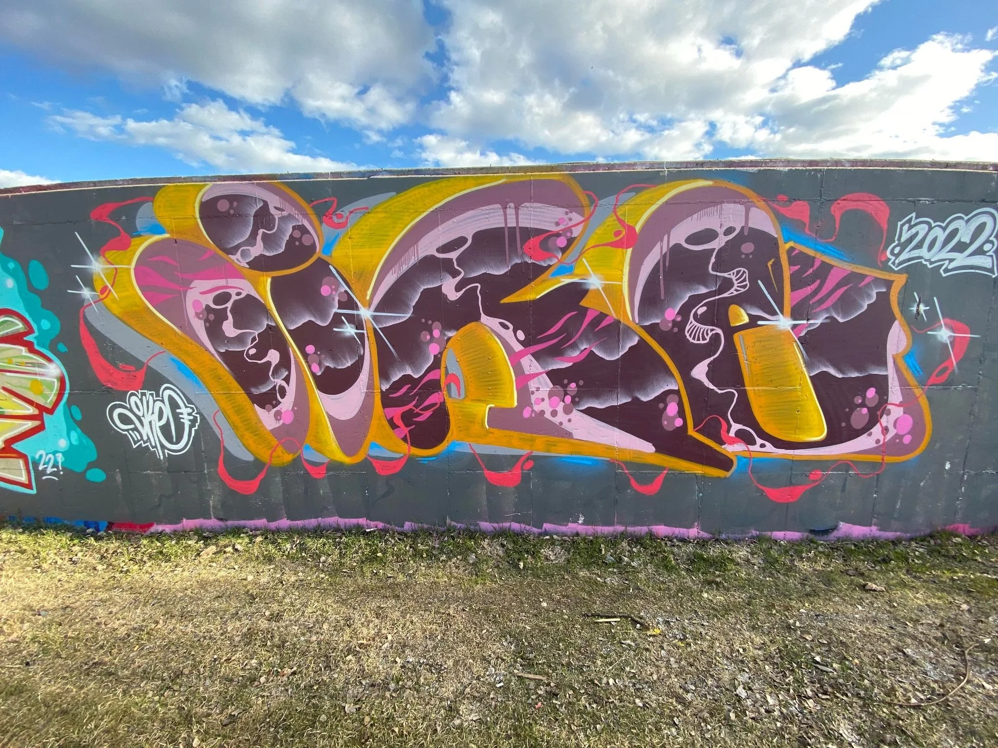 Yellow purple Like.jpg