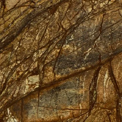 Forest Rain Castanho