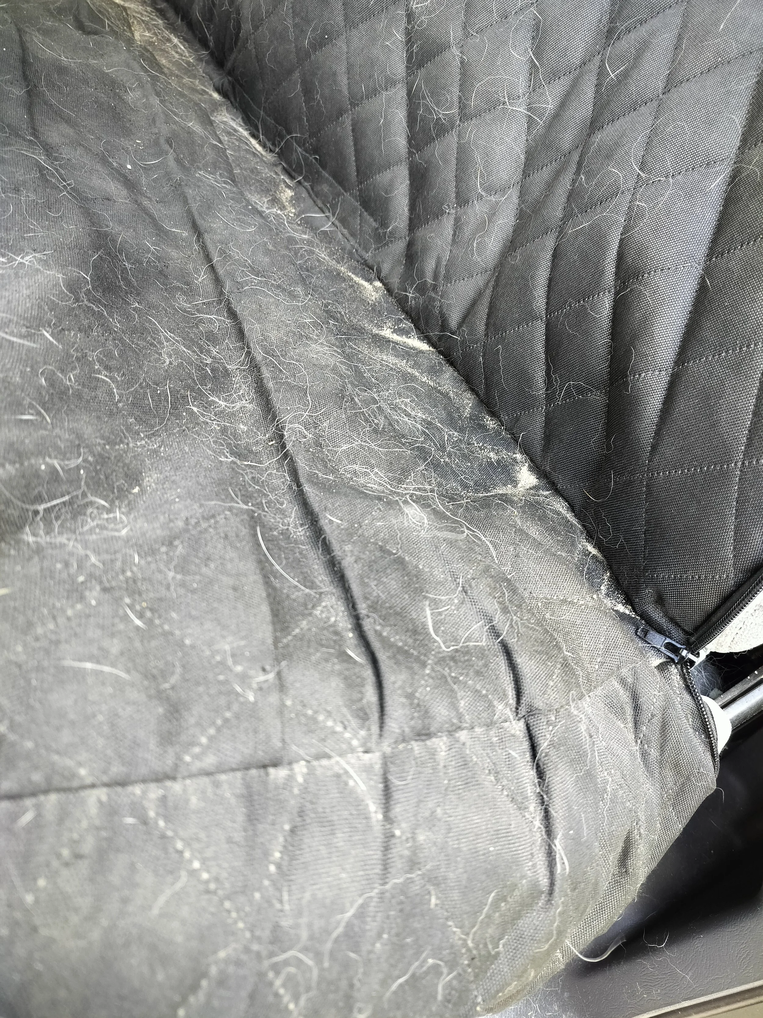 A seat cover on a truck bench seat covered with hair and dirt that can't imbed itself into the seat