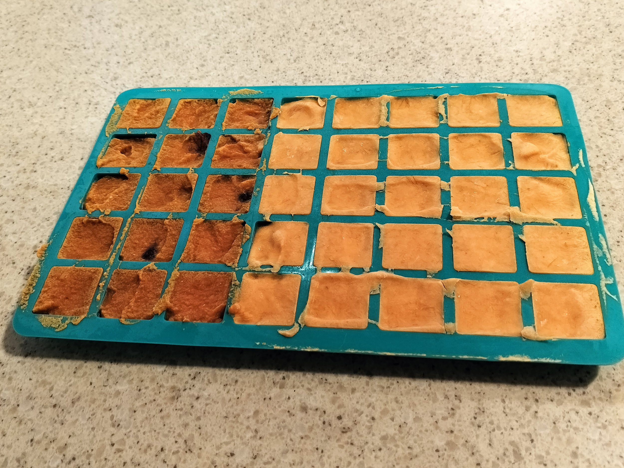 A silicone ice cube tray filled with homemade frozen pet treats