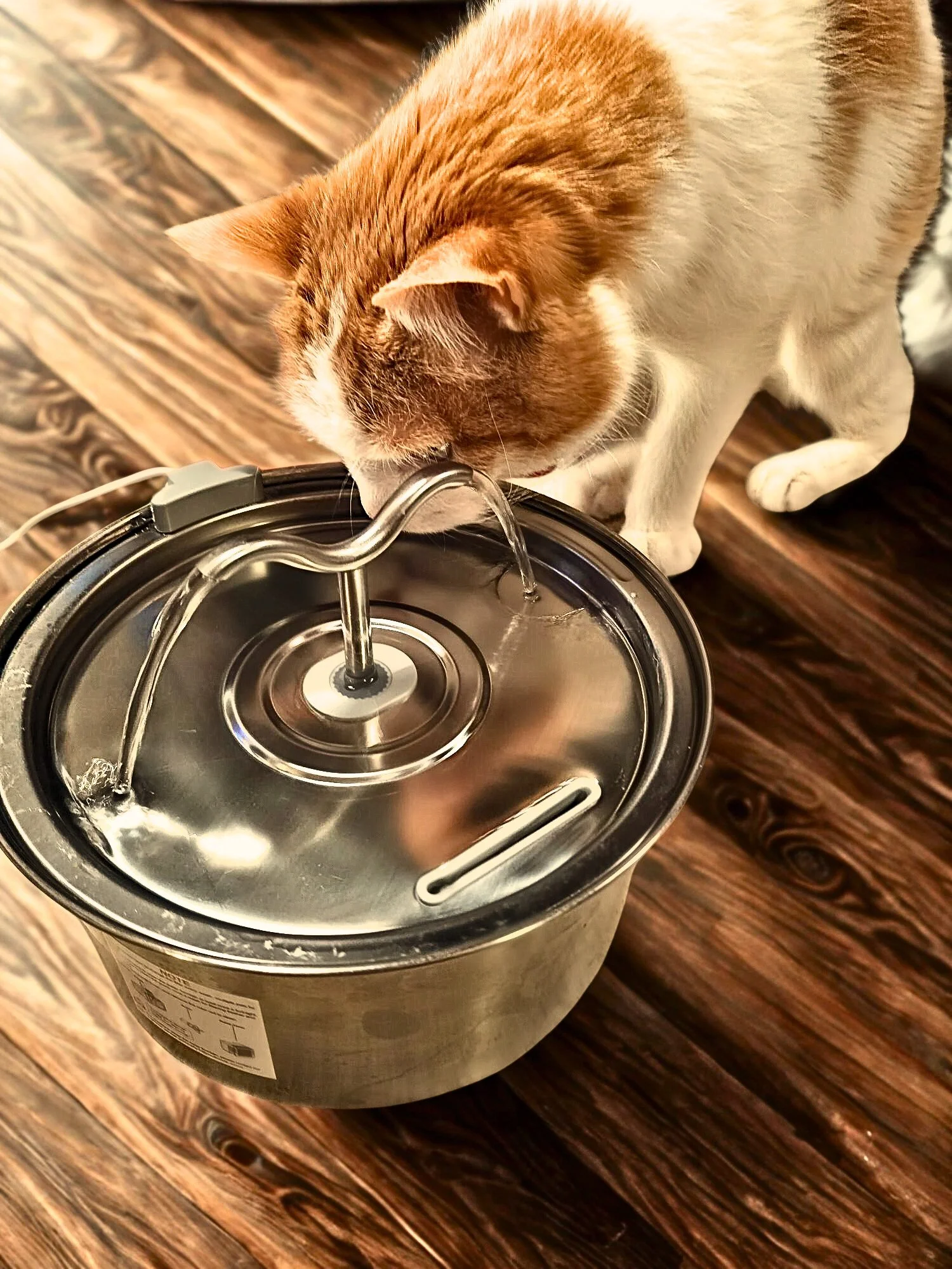 Awesome Pet Products That We Love-And You Will Too!