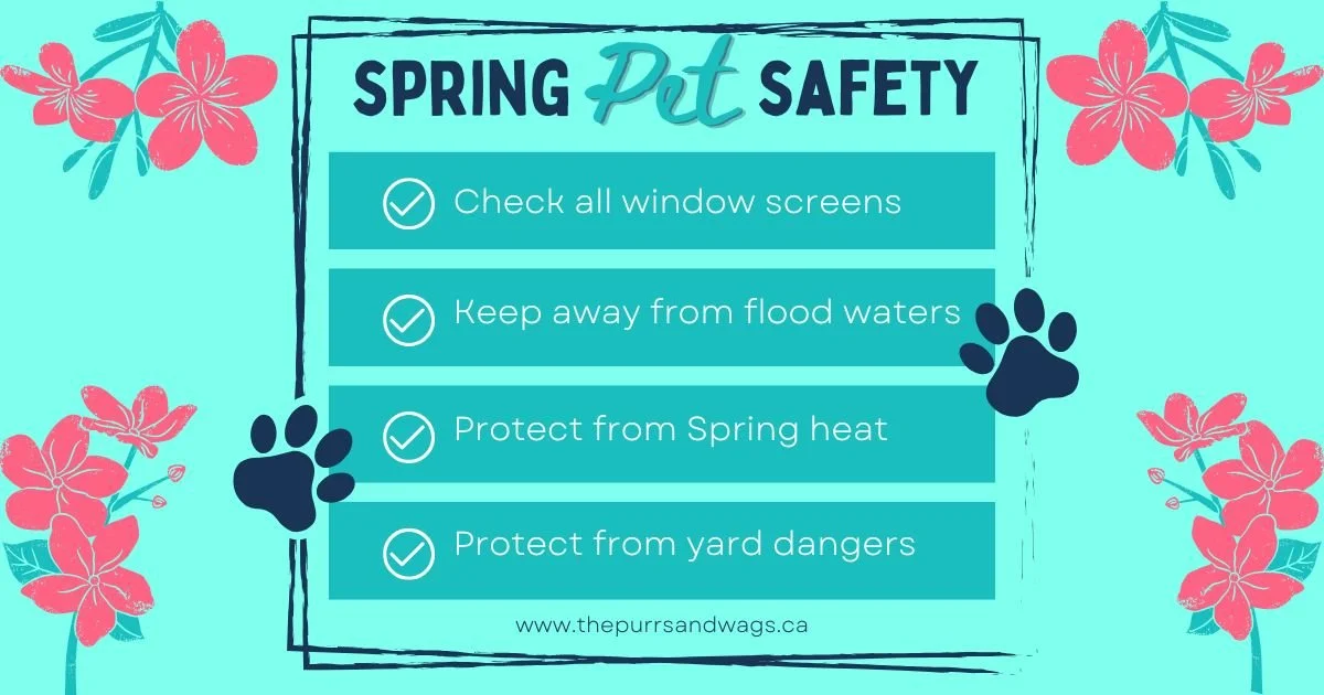 Spring Pet Safety Checklist 