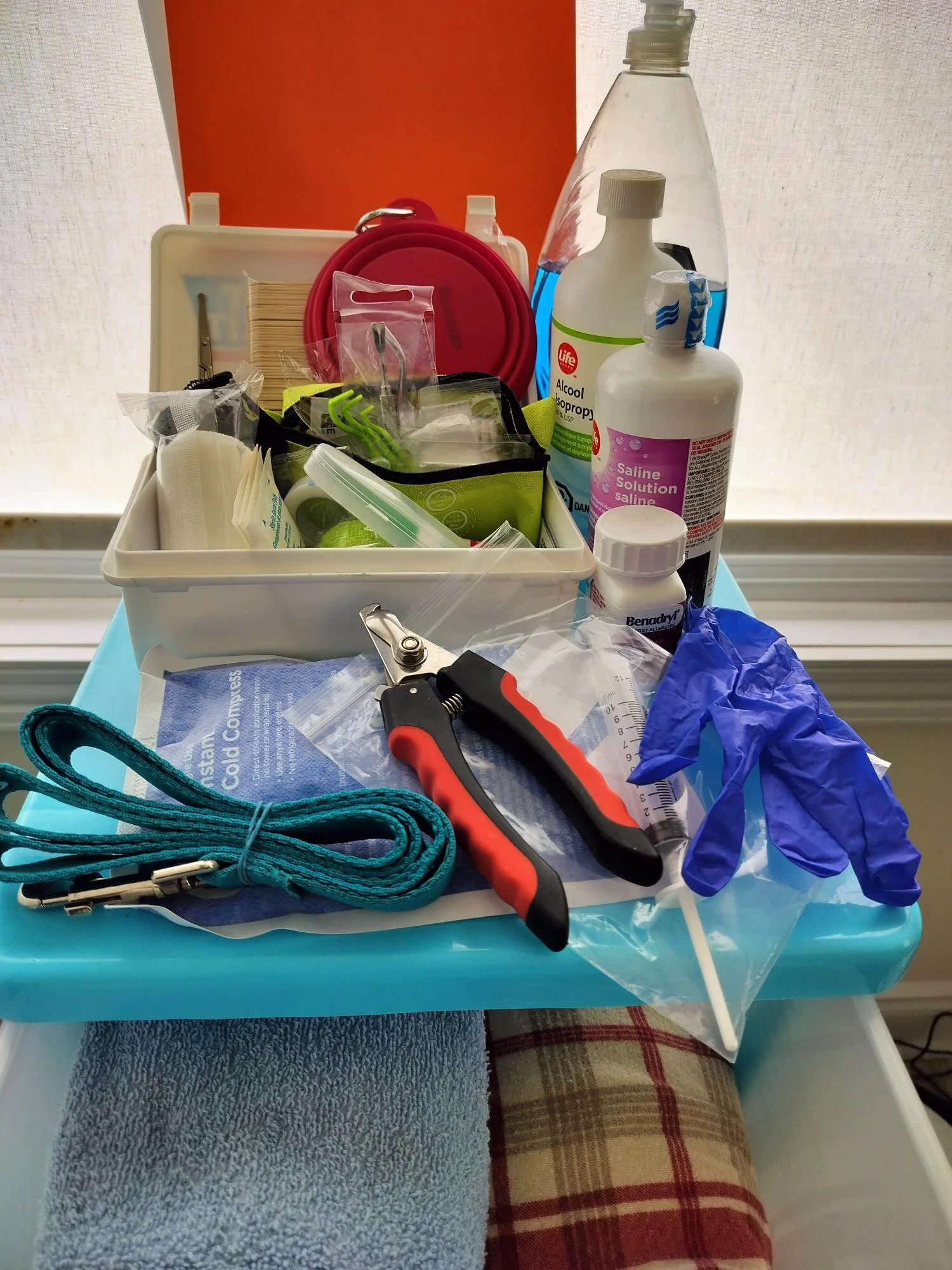 DIY Pet First Aid Kit