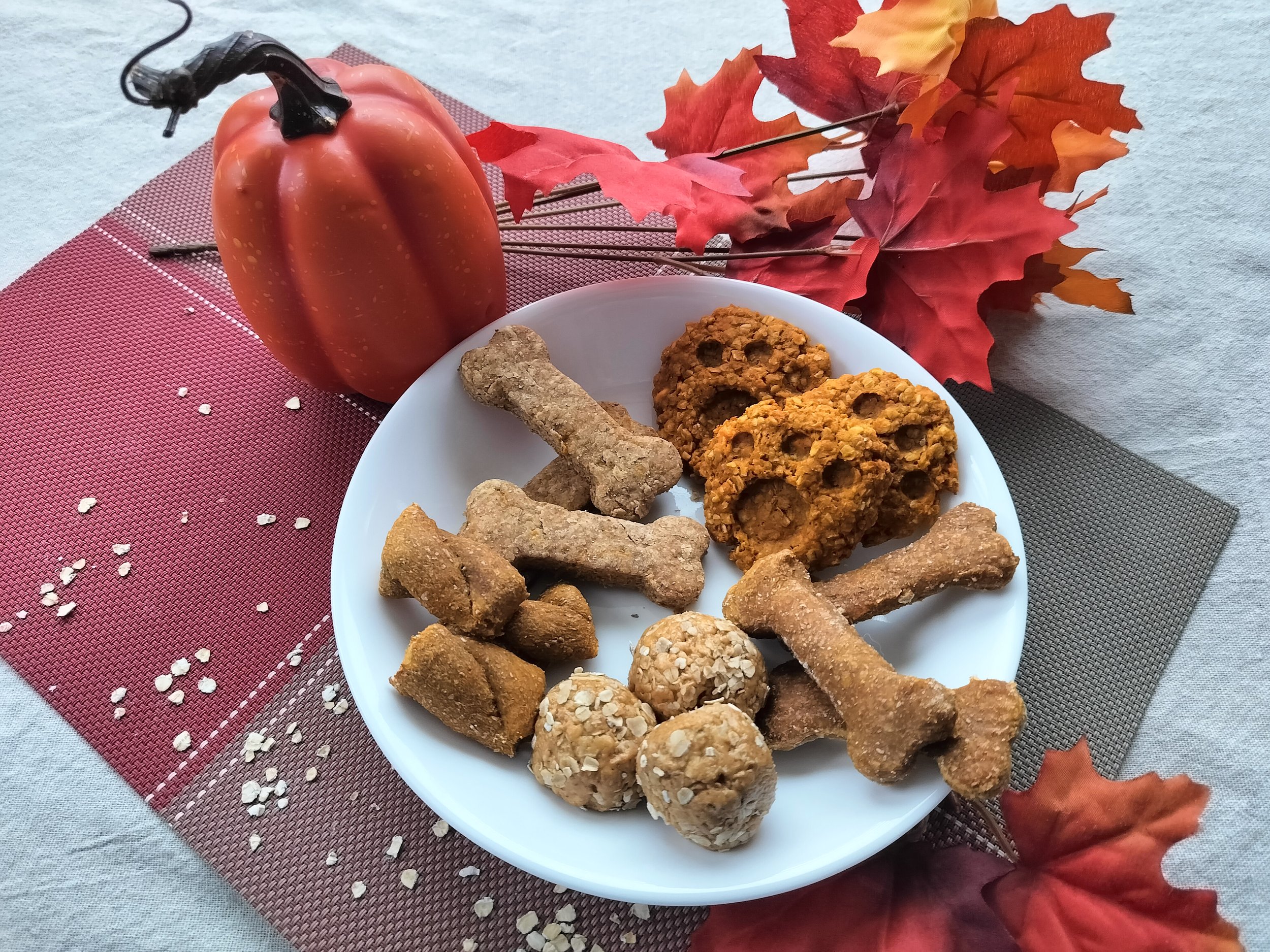 Easy and Healthy Autumn Dog Treat Recipes