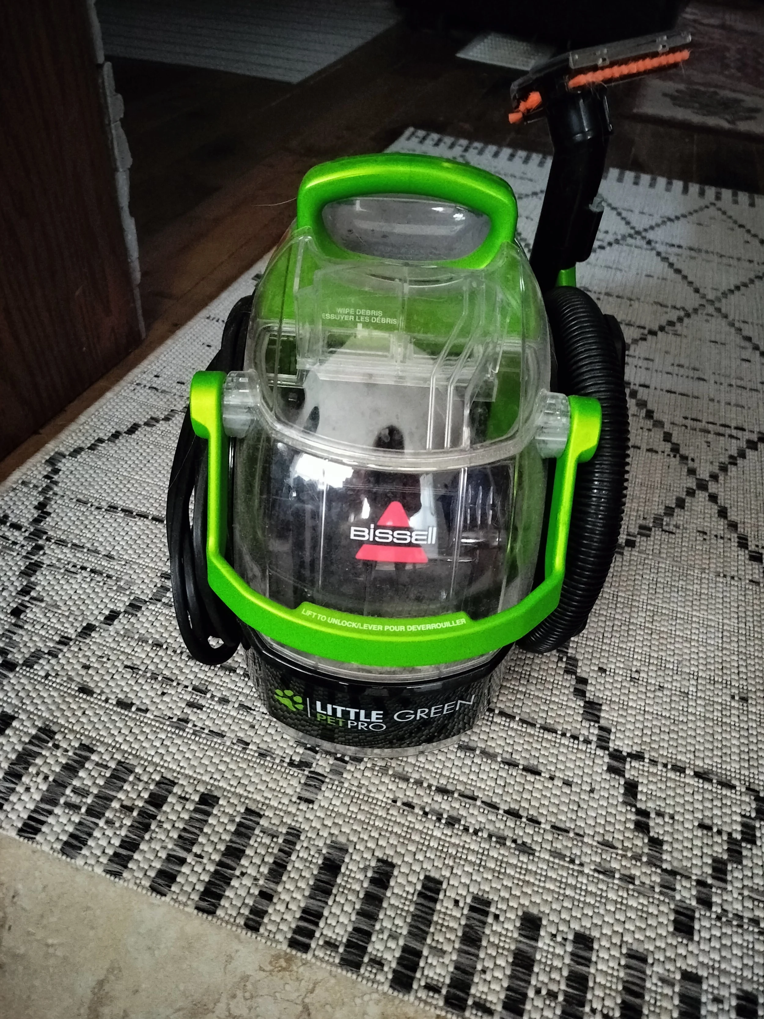 Spot cleaner vacuum to remove pet stains and muddy paw prints in vehicles